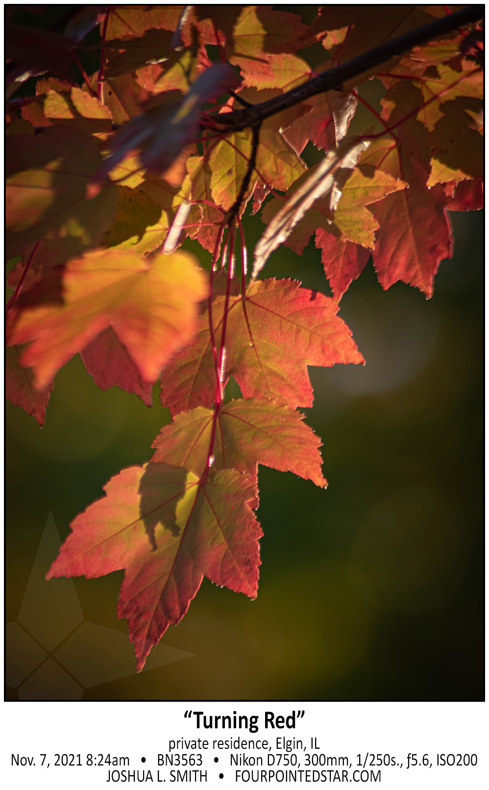 BN3563 211107 082452