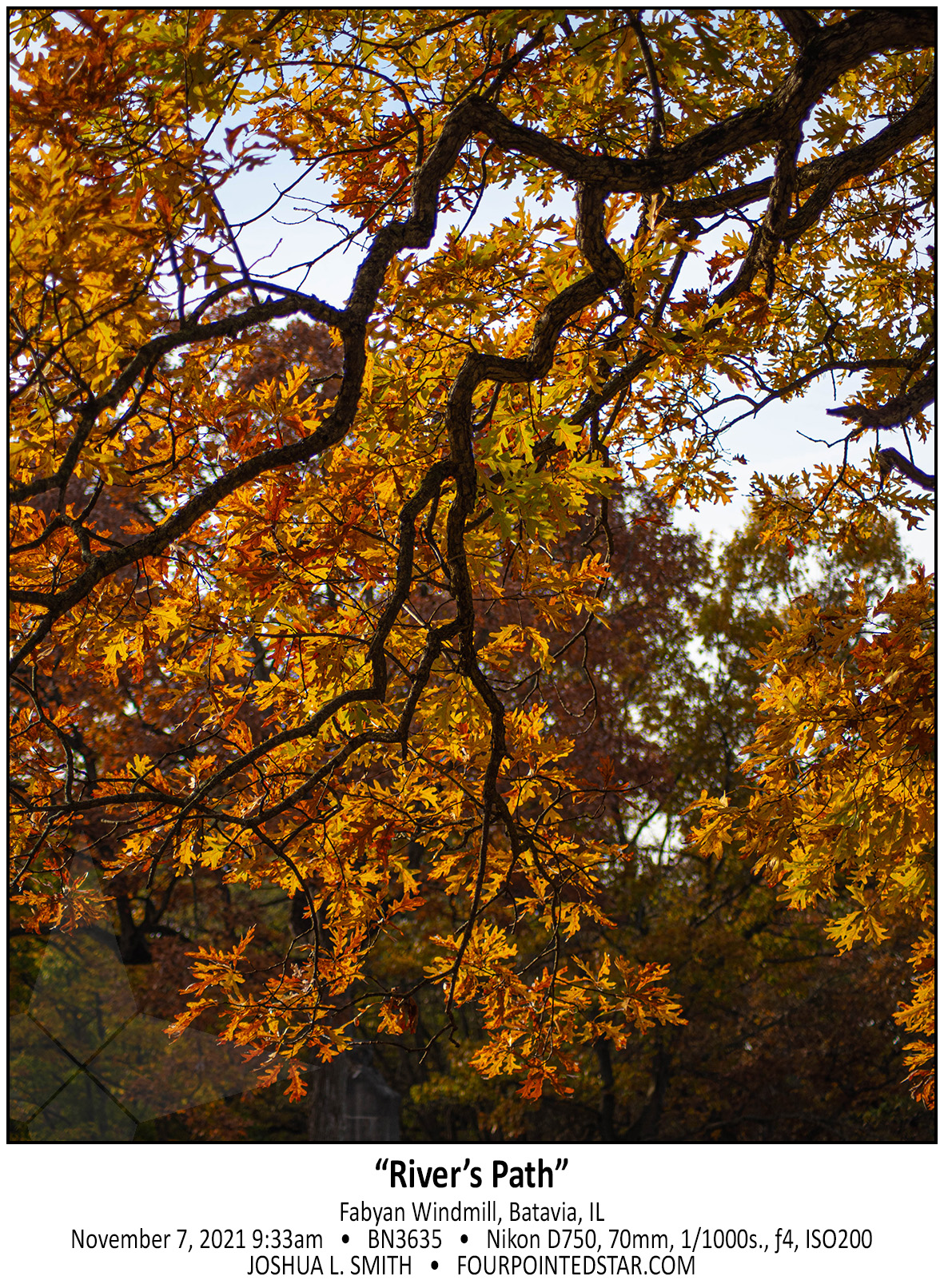 BN3635 211107 093355