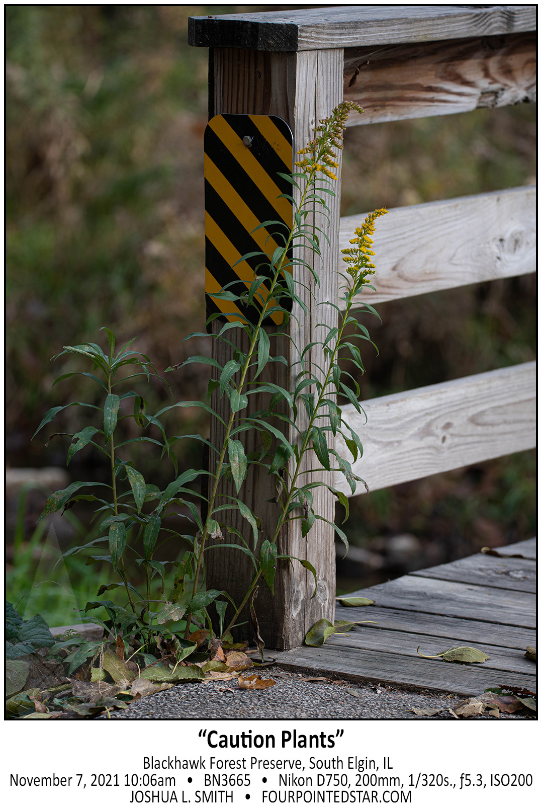 BN3665 211107 100619