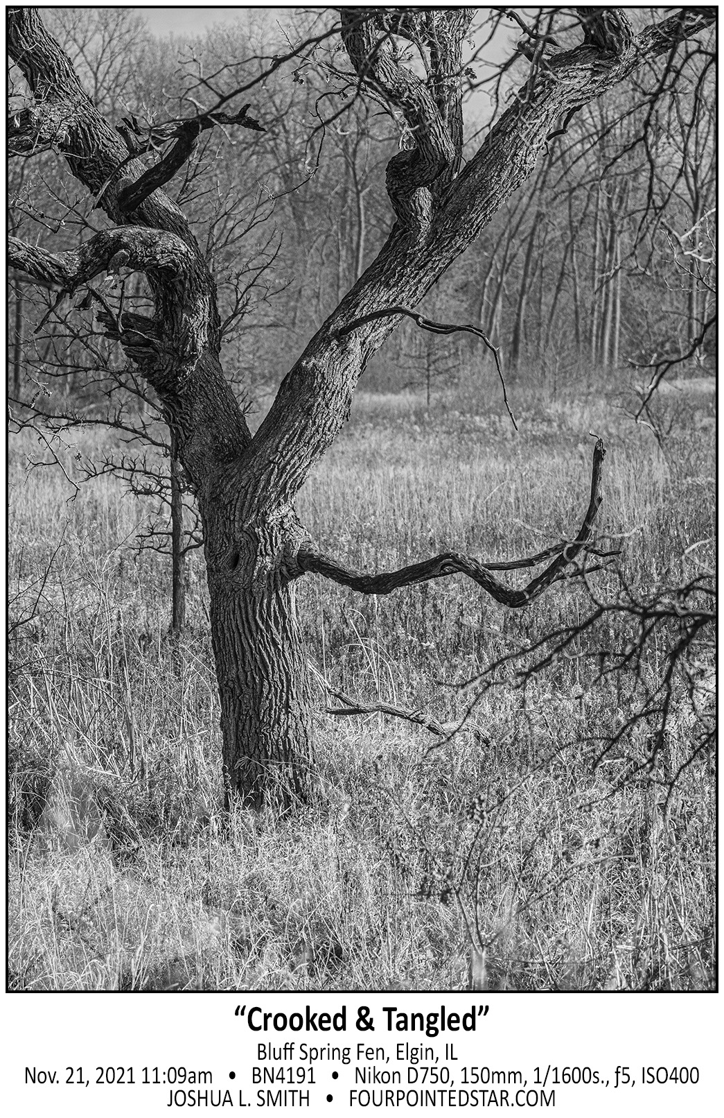 BN4191 211121 110901