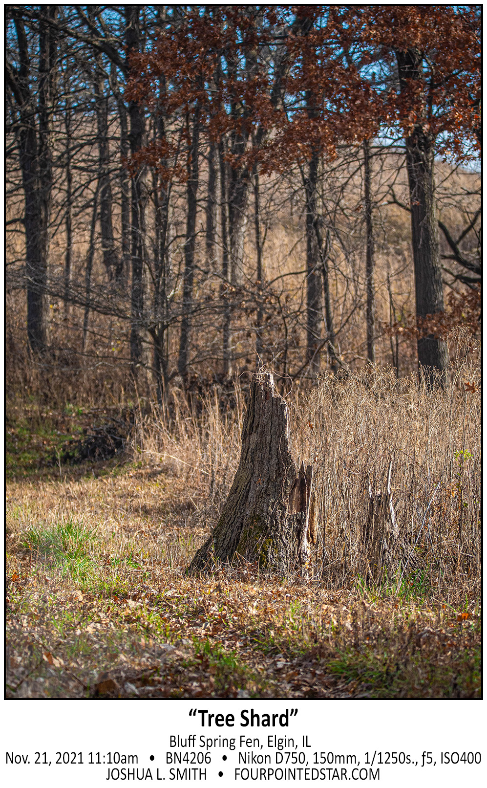 BN4206 211121 111056