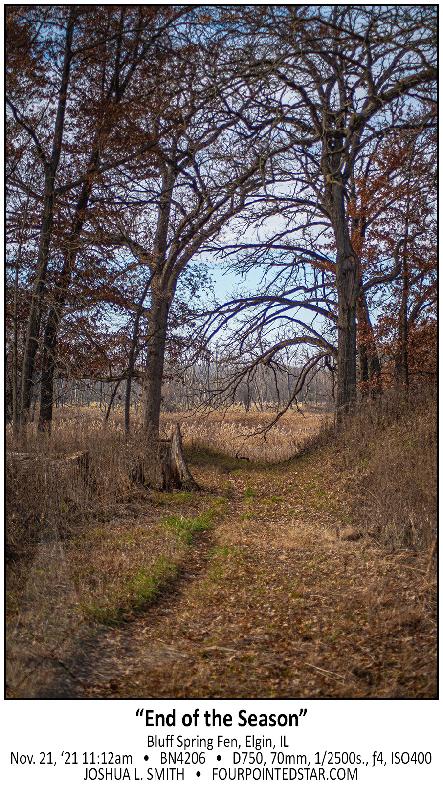 BN4216 211121 111229