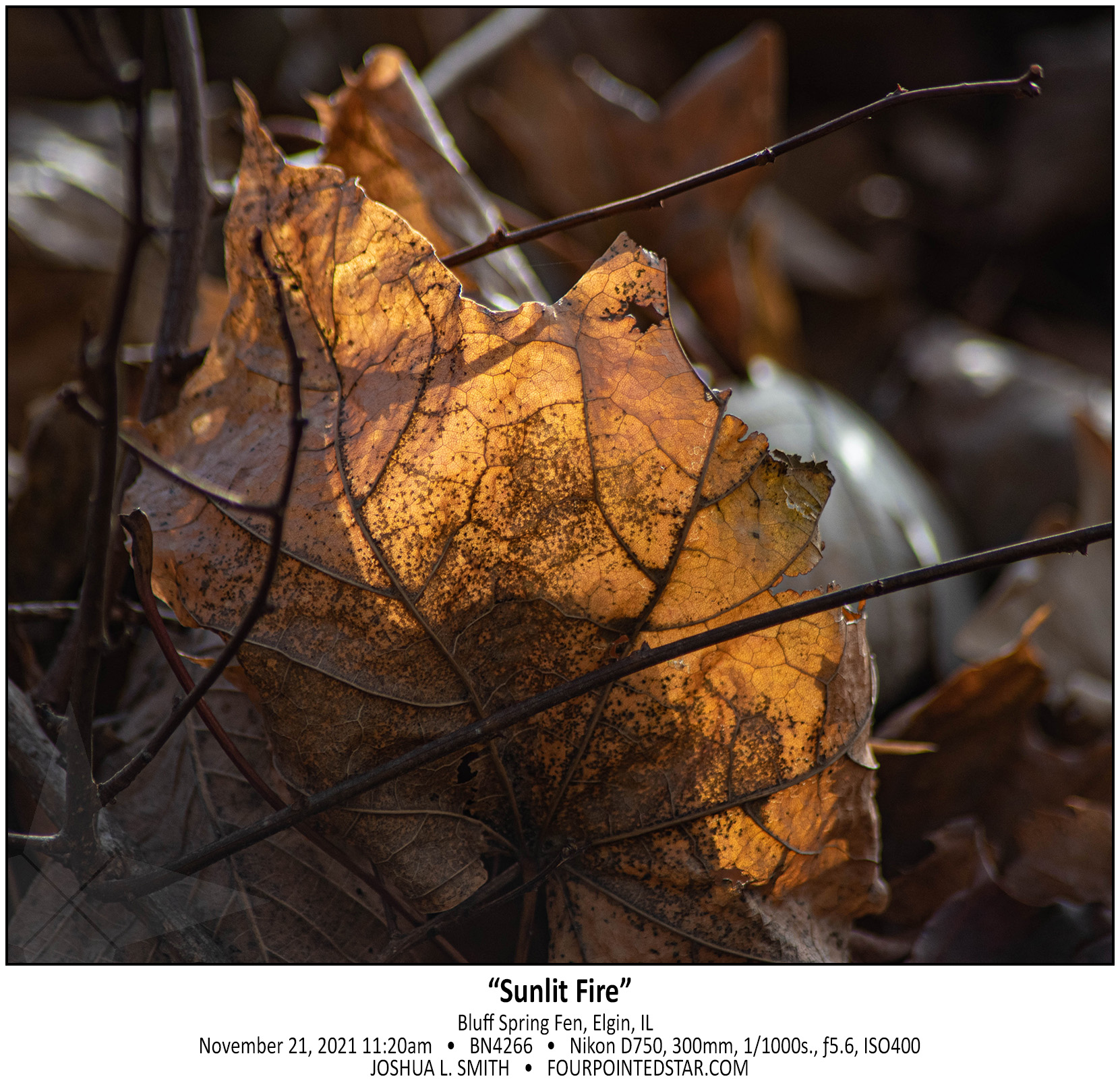 BN4266 211121 112006