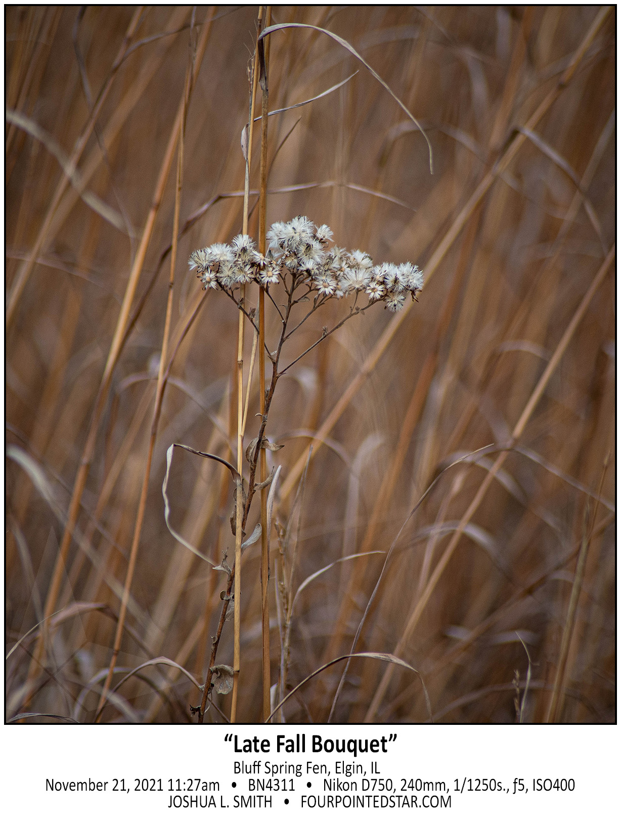 BN4311 211121 112741