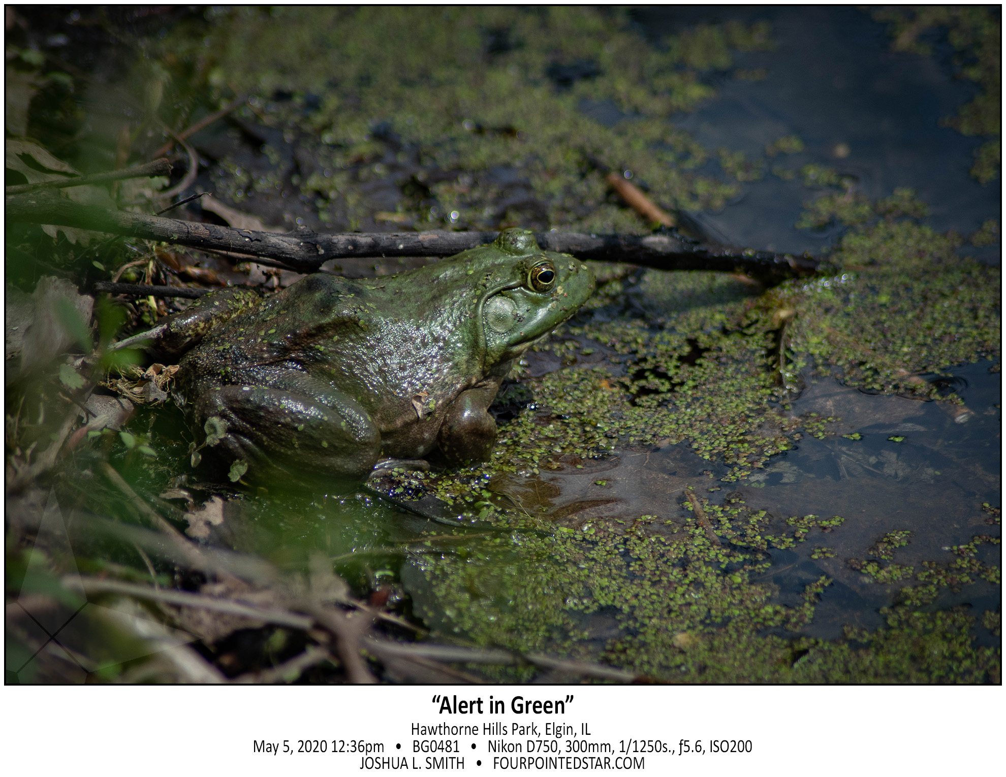 BG0481 200502 123659