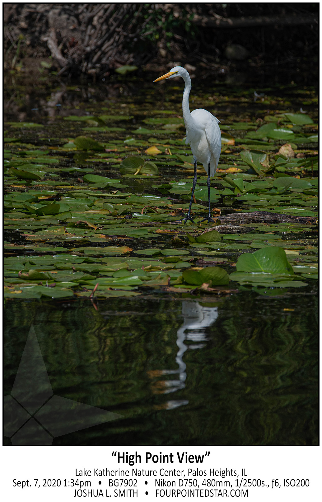 BG7902 200907 133442