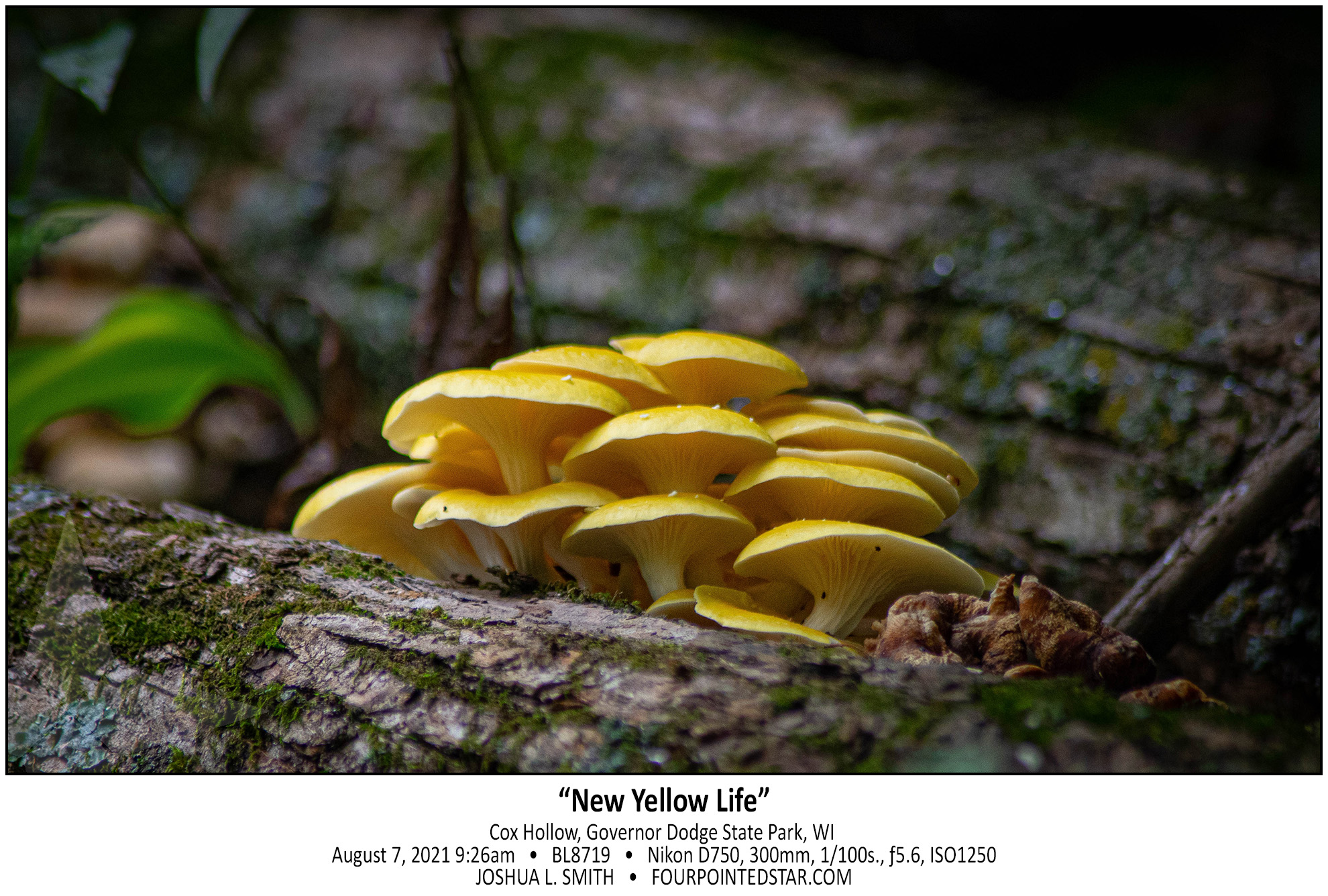 BL8719 210807 092641