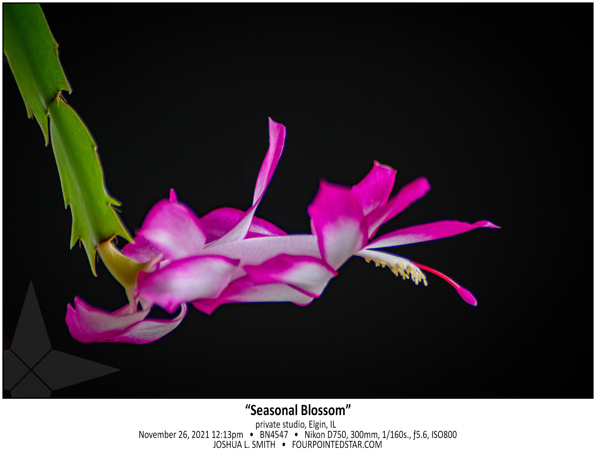 BN4547 211126 121333