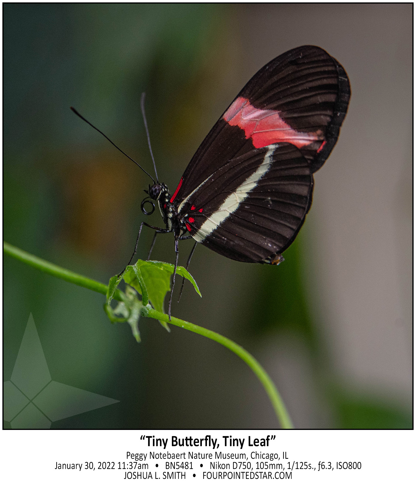 BN5481 220130 113714