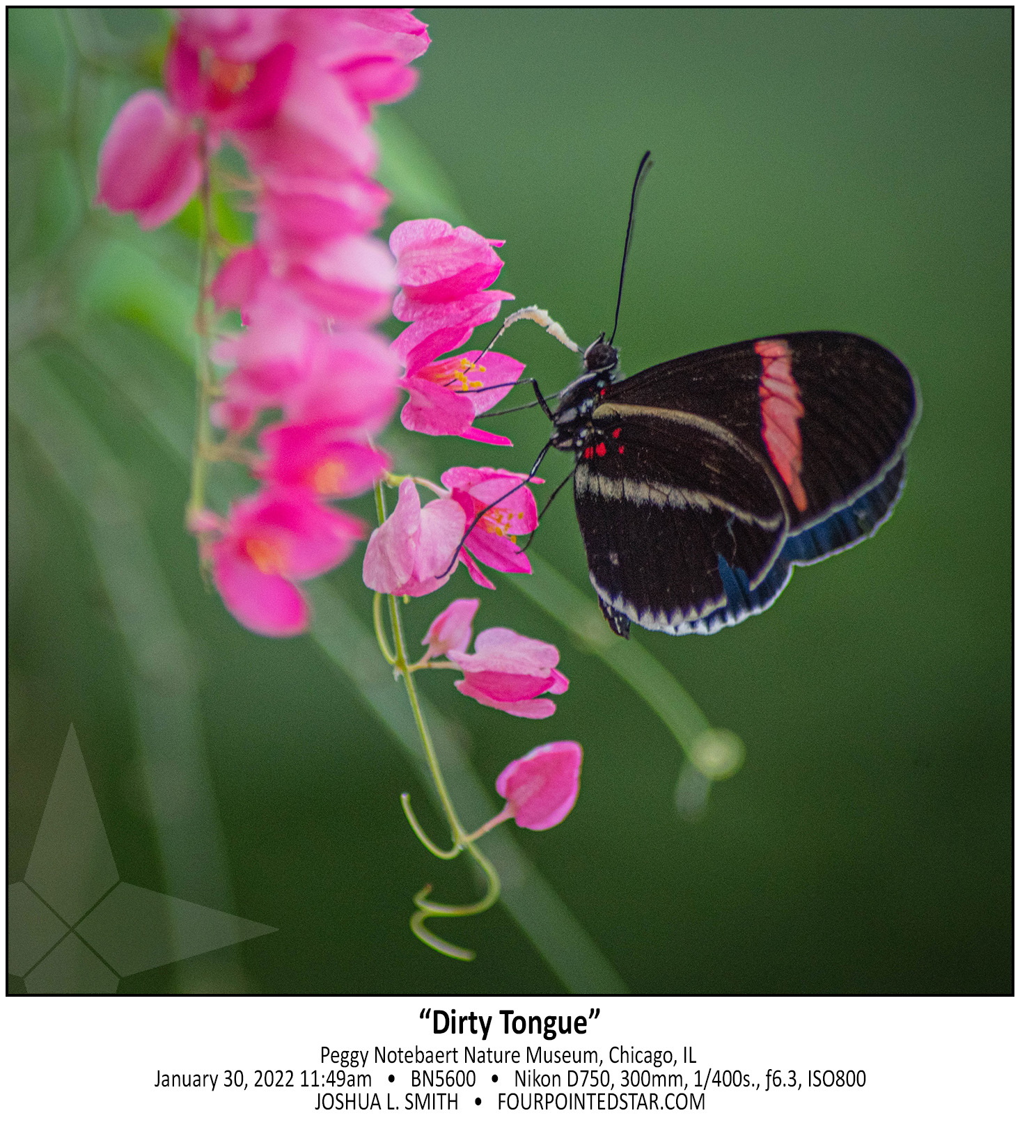 BN5600 220130 114931