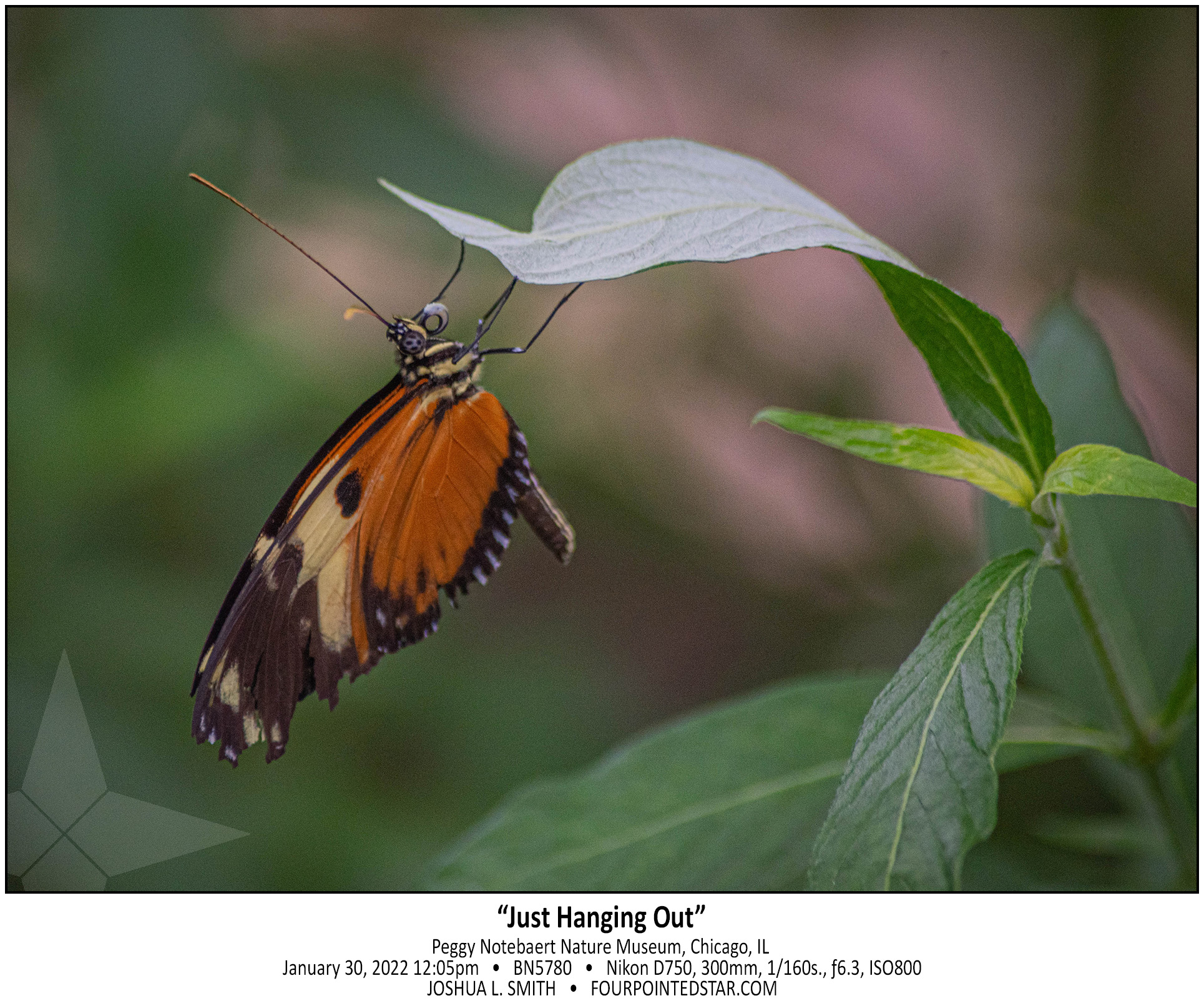 BN5780 220130 120551