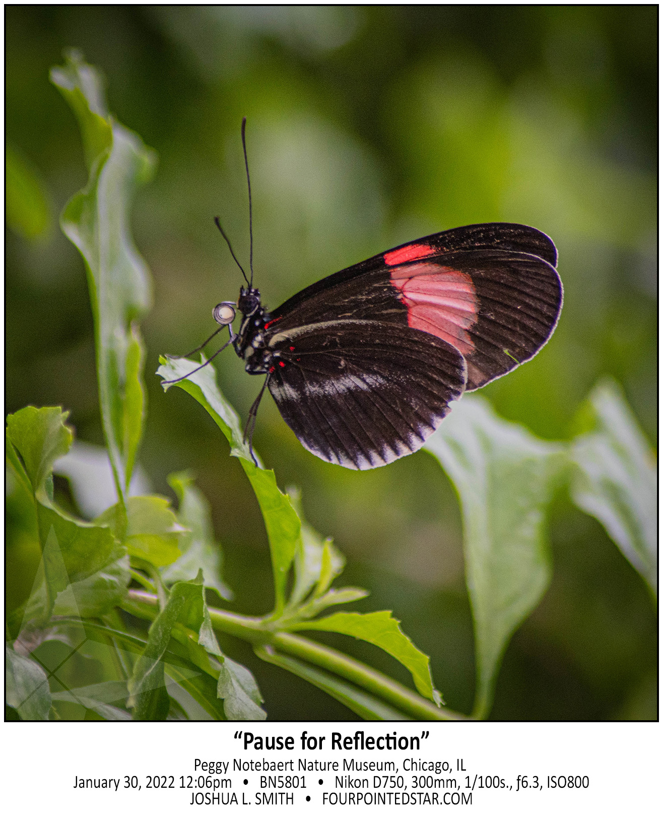 BN5801 220130 120645