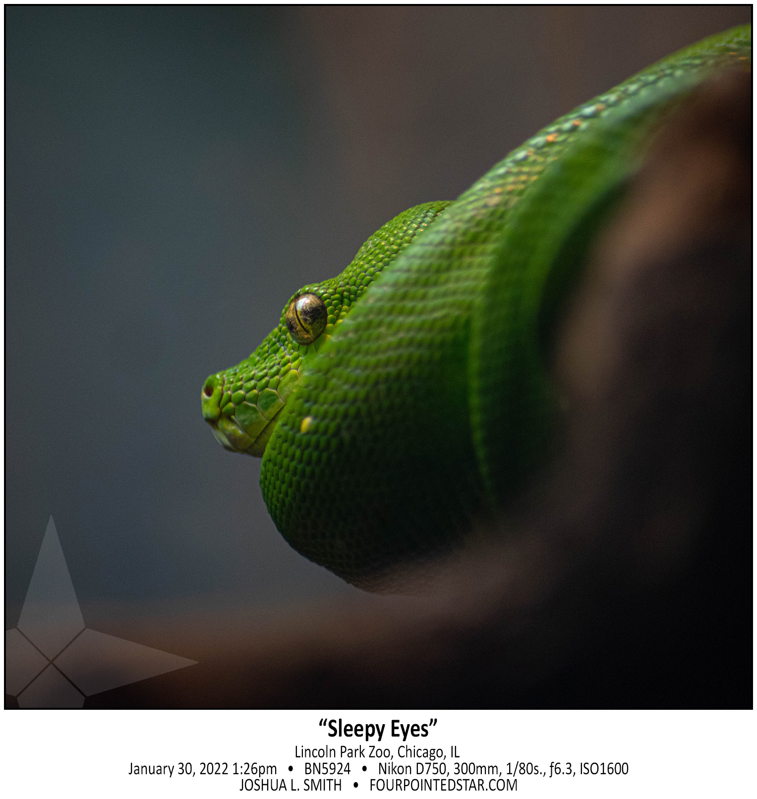 BN5924 220130 132614