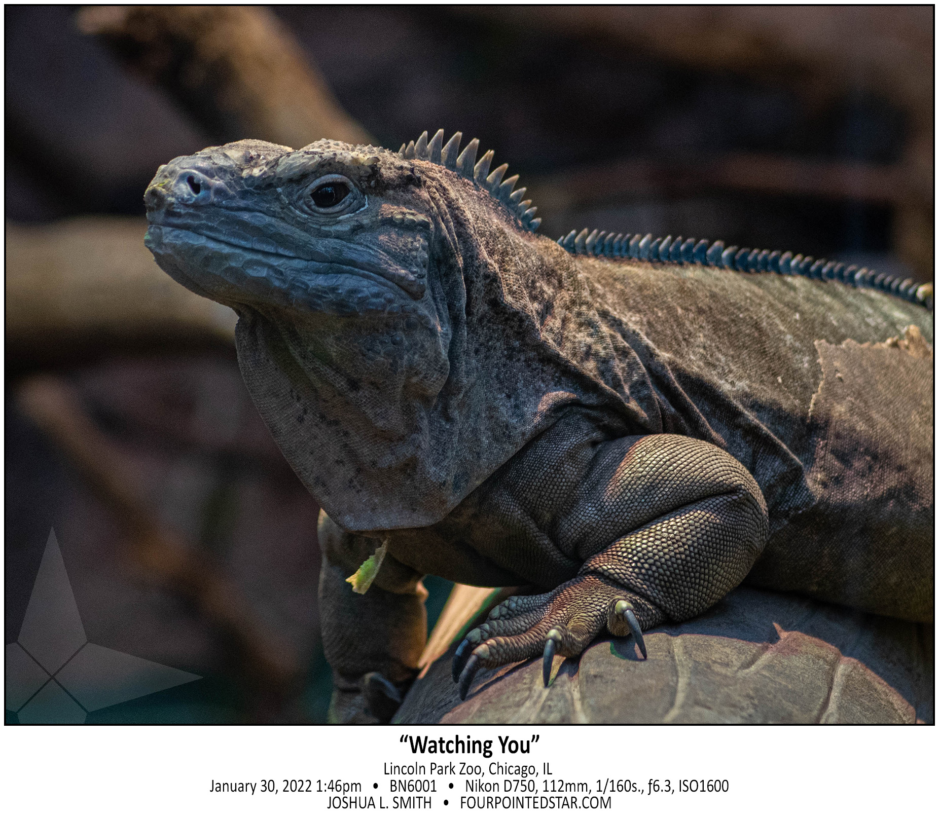 BN6001 220130 134633