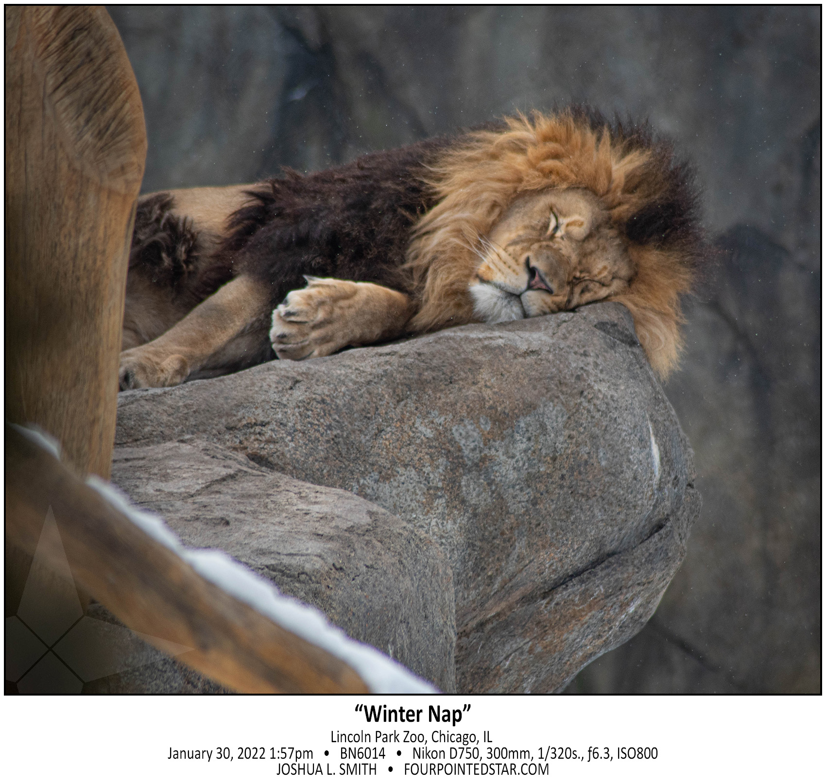 BN6014 220130 135709