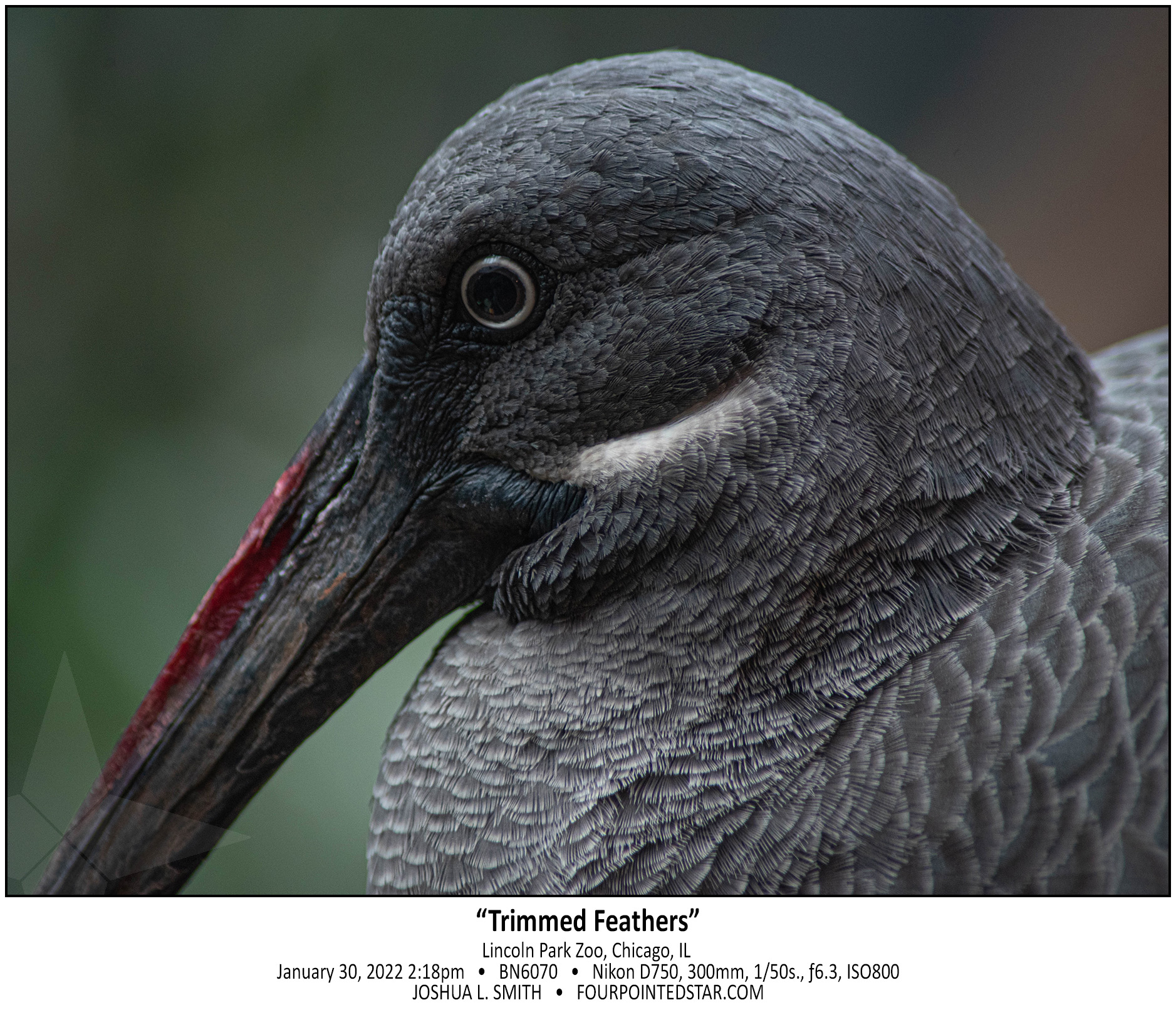 BN6070 220130 141843