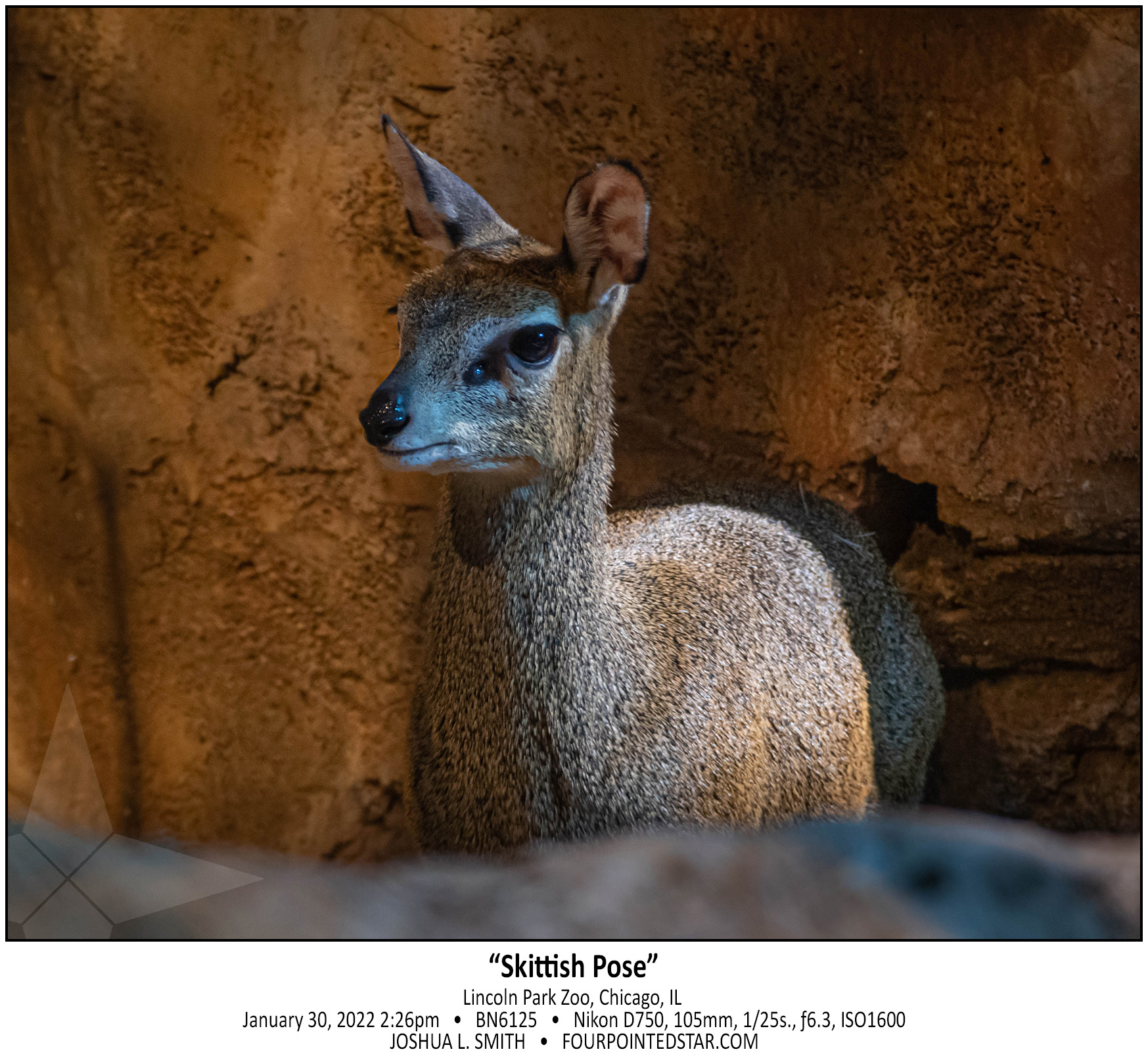 BN6125 220130 142627