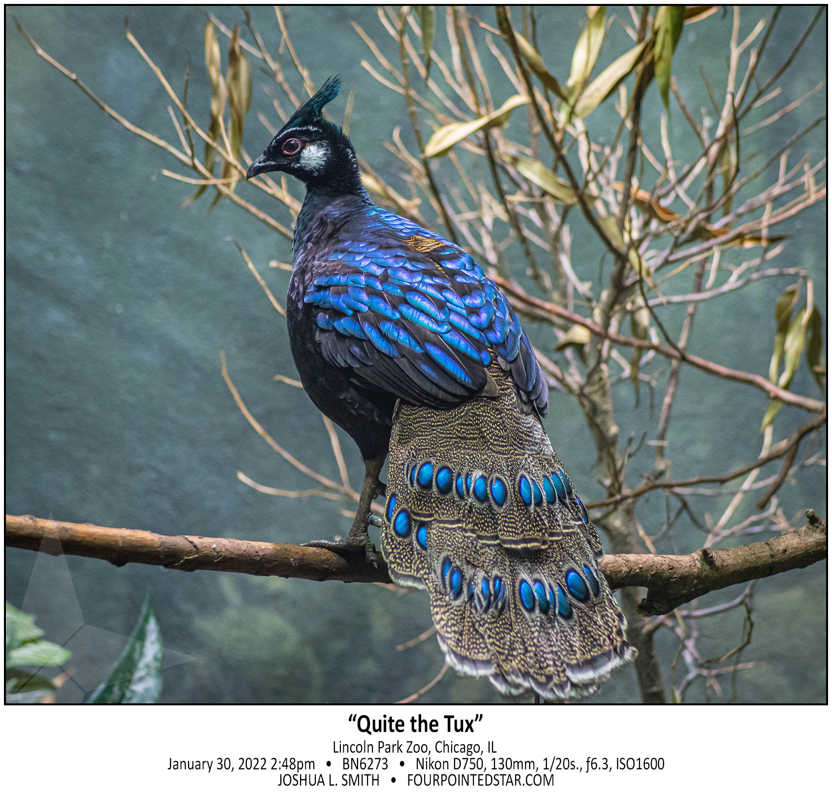 BN6273 220130 144858