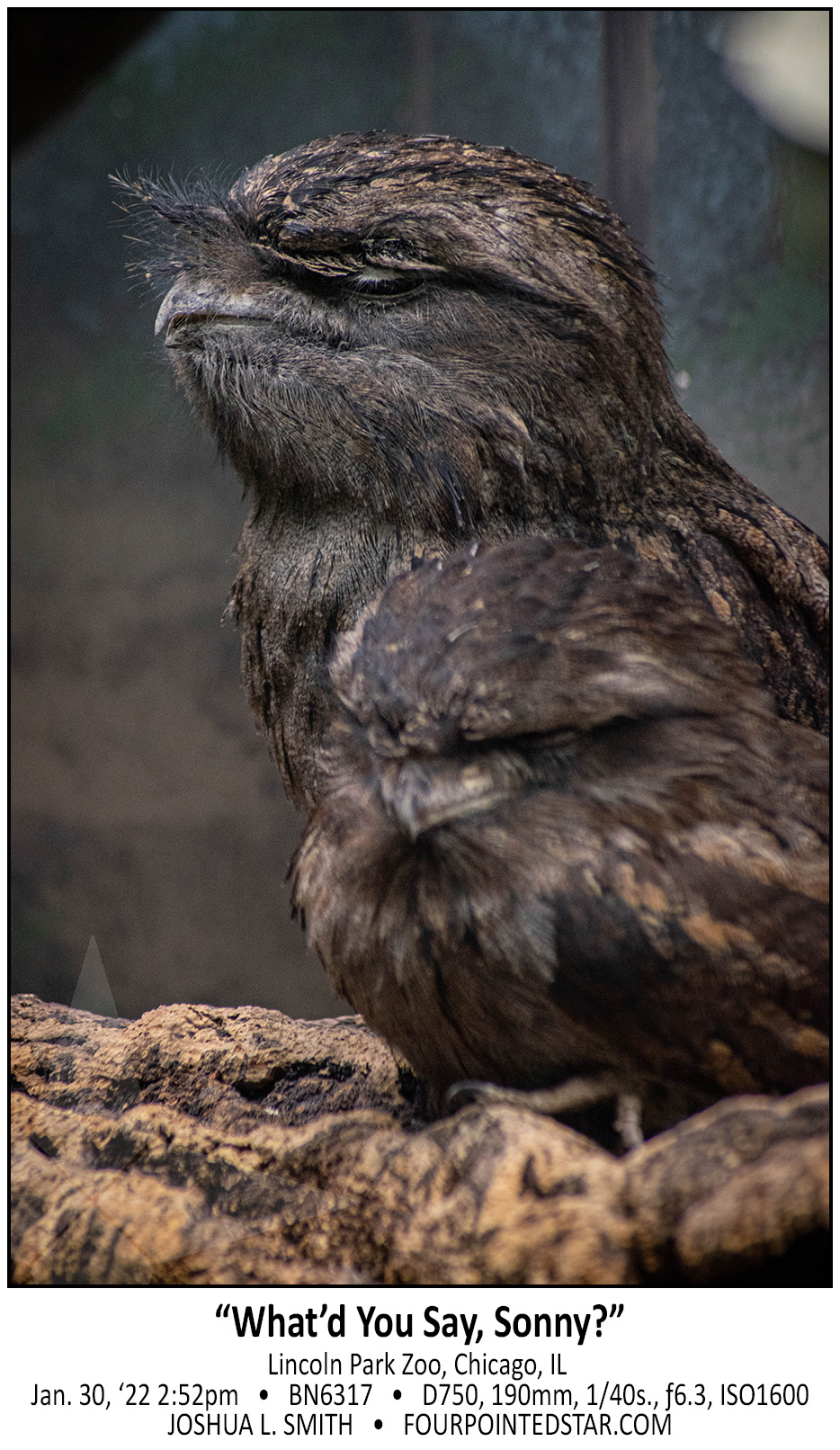 BN6317 220130 145242