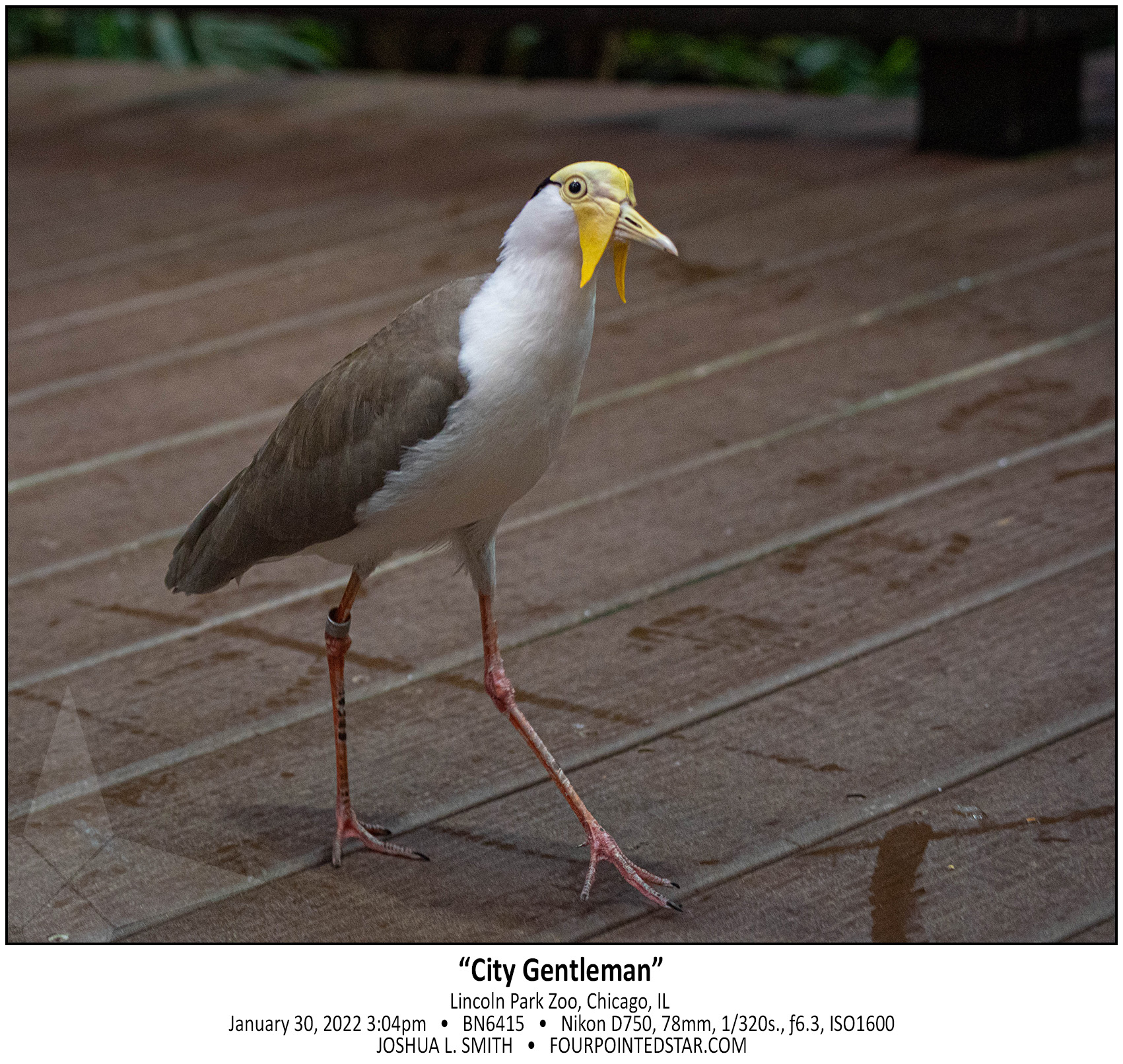 BN6415 220130 150428