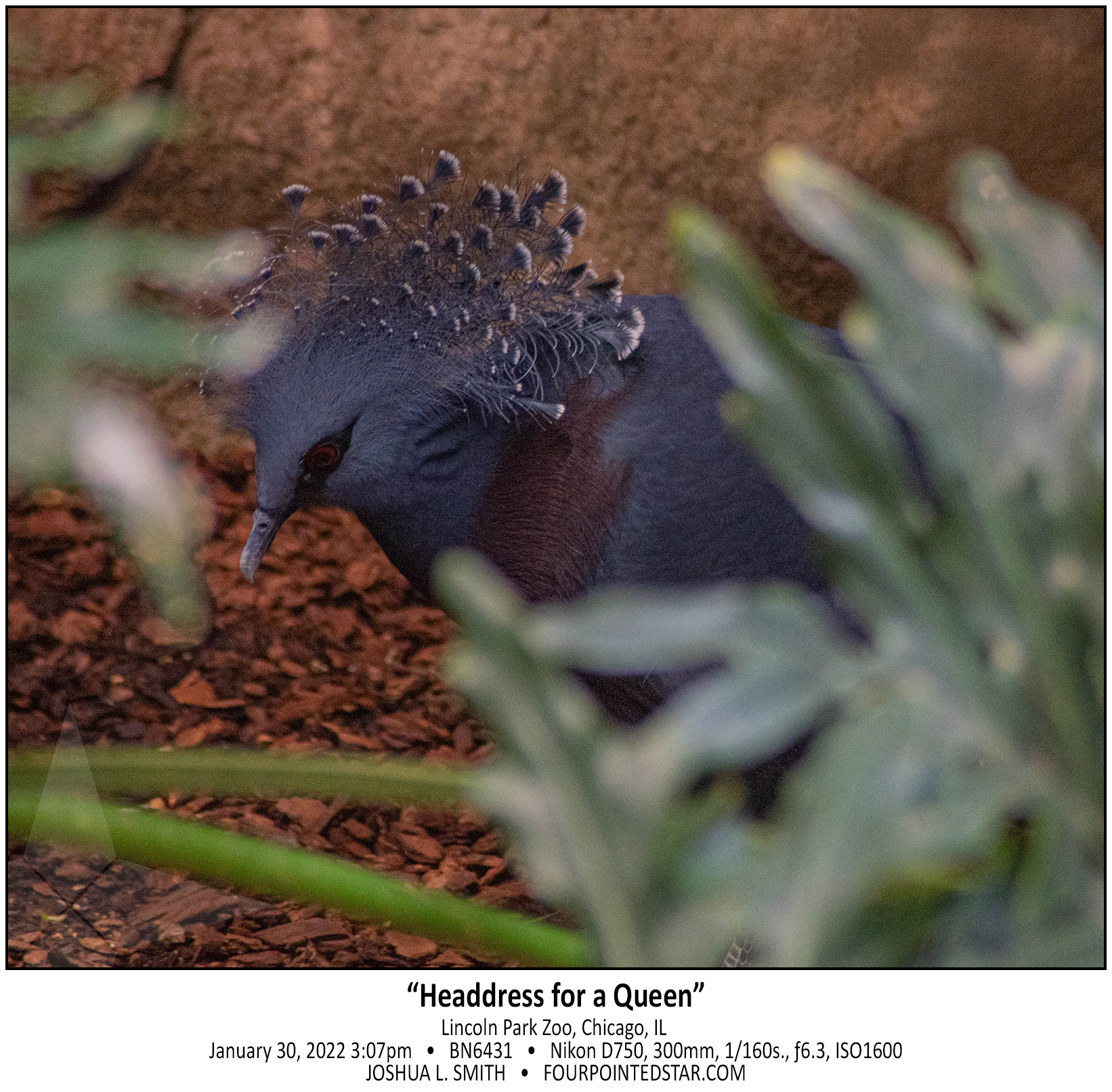 BN6431 220130 150711