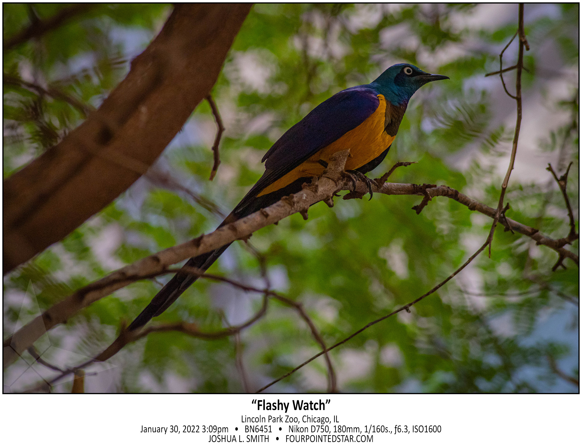 BN6451 220130 150928