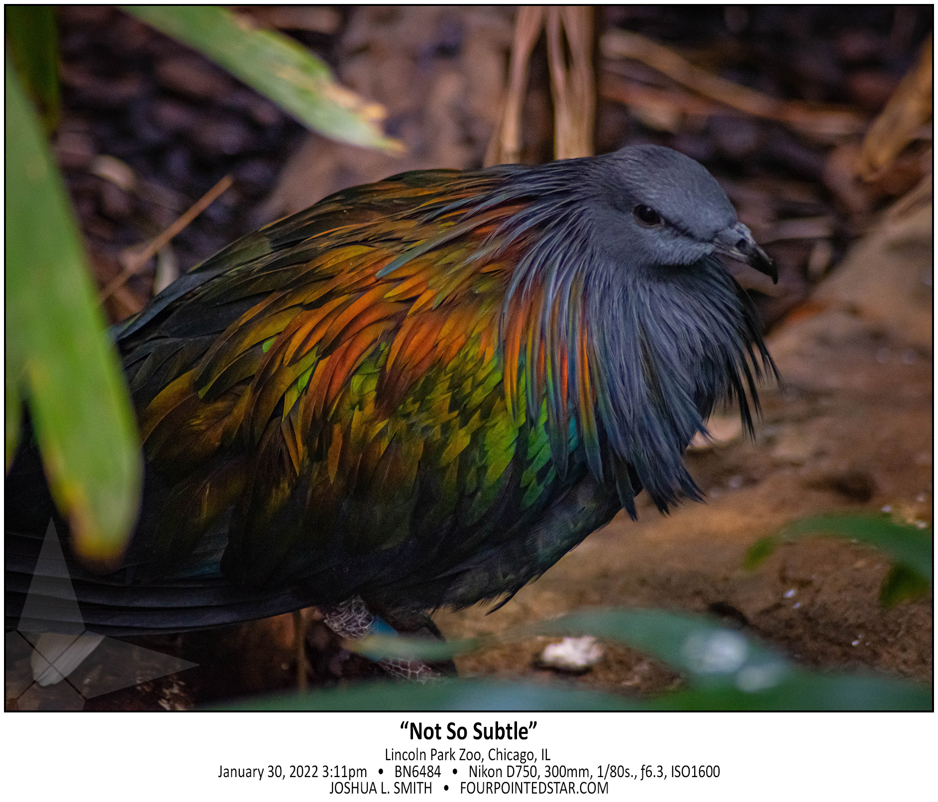 BN6484 220130 151110