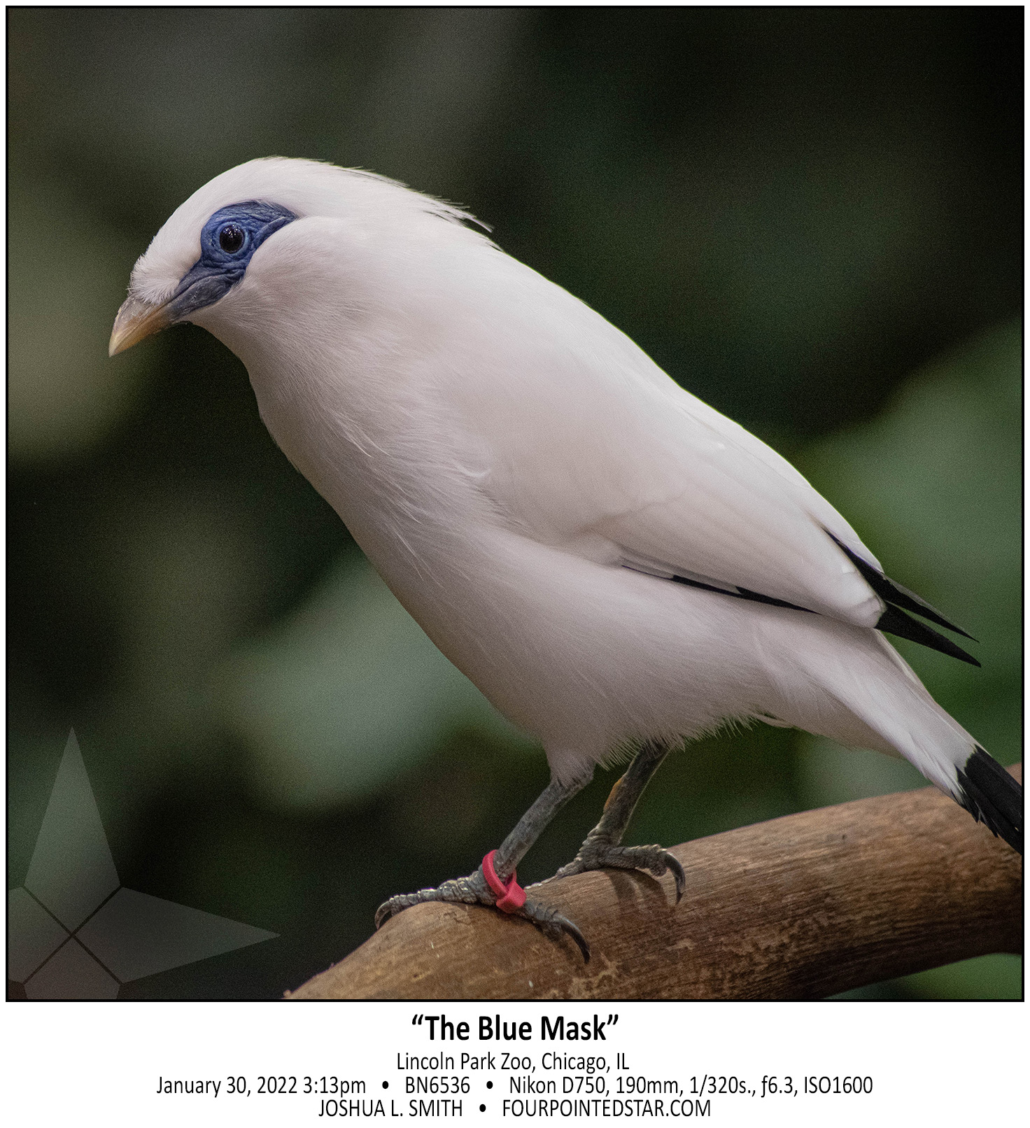 BN6536 220130 151311