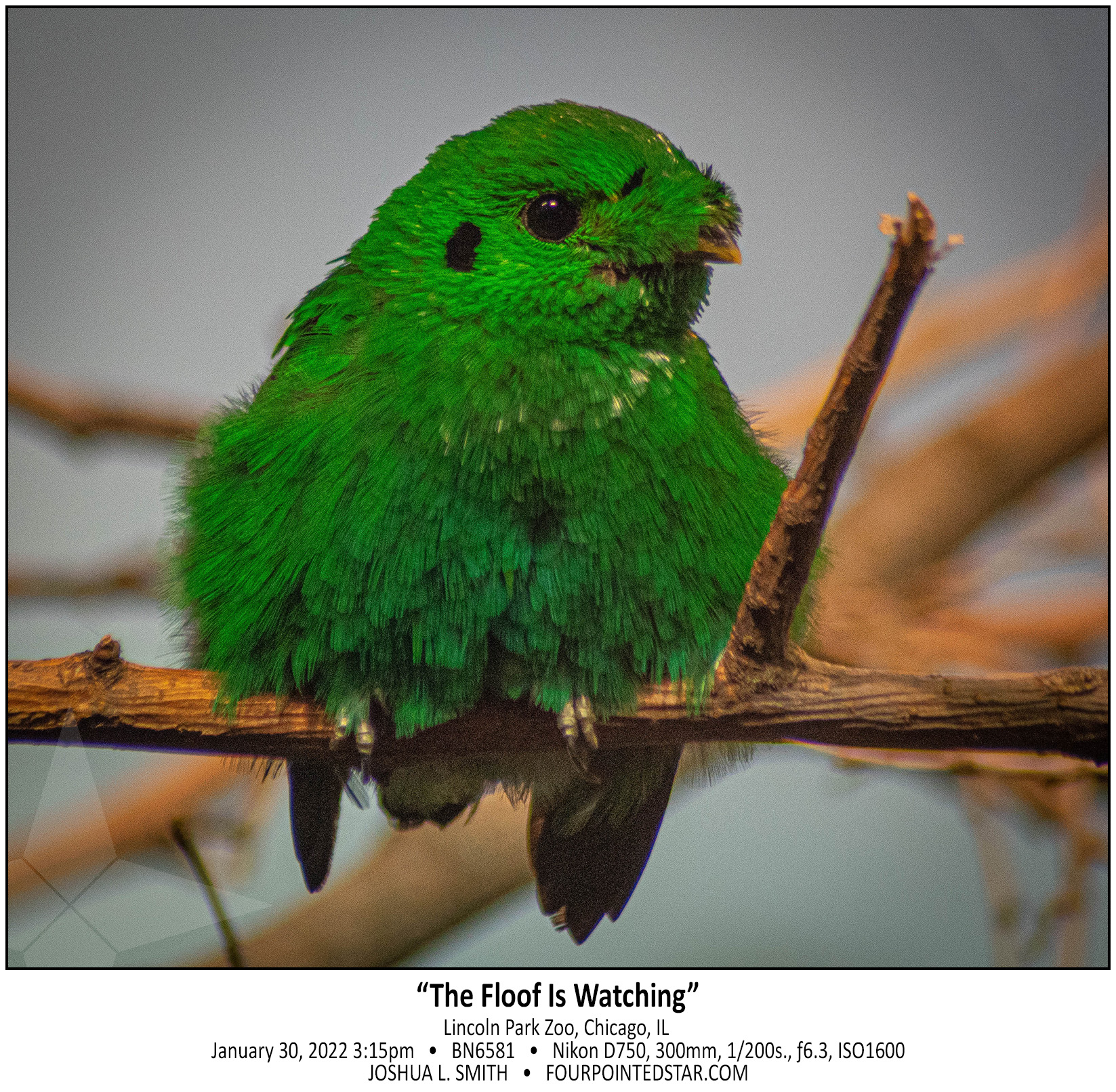 BN6581 220130 151526