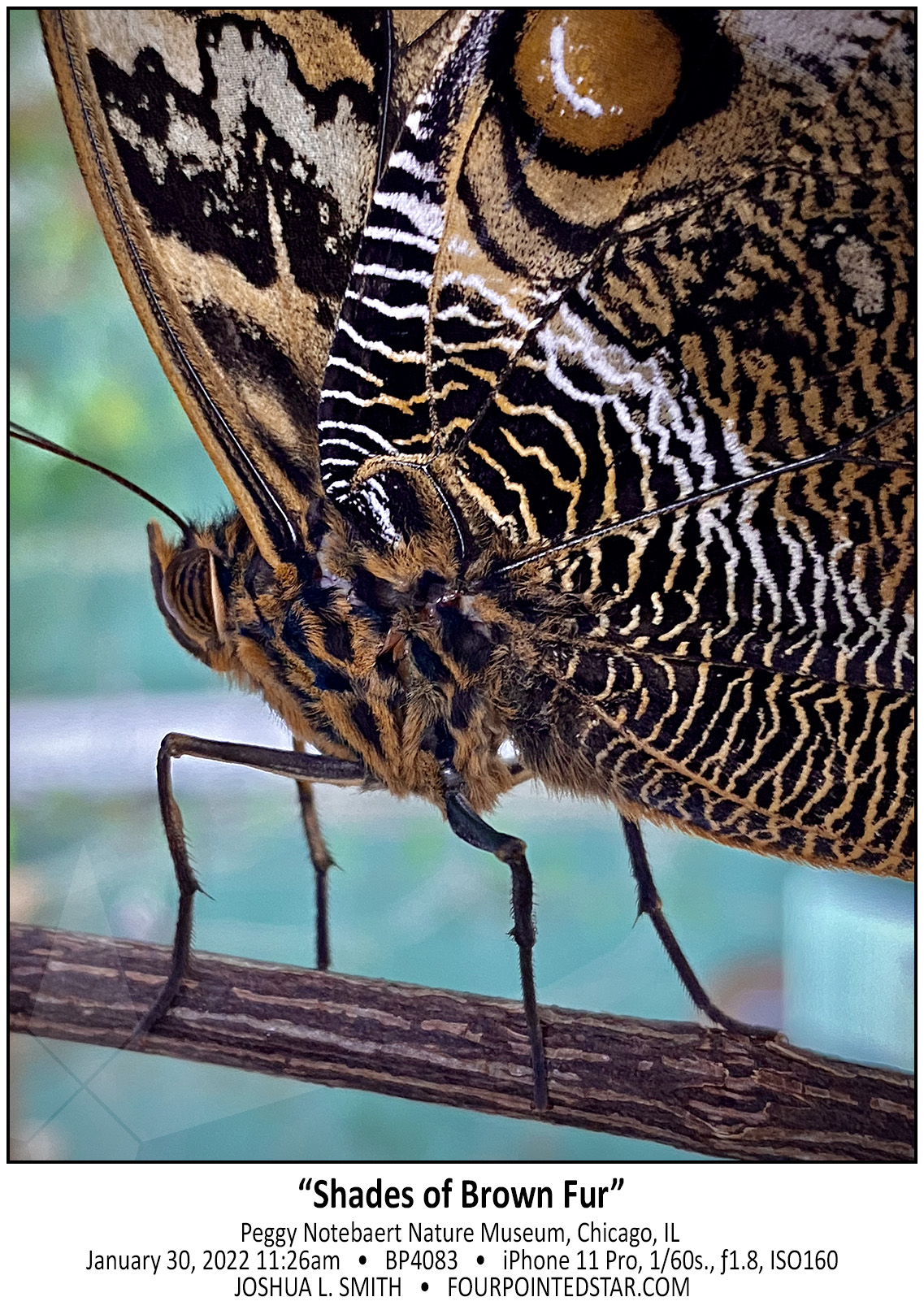 BP4083 220130 112624