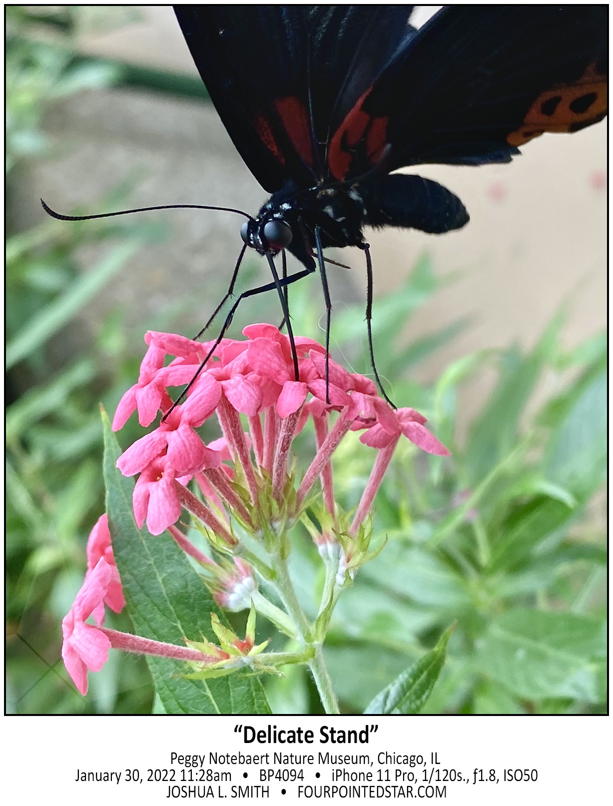 BP4094 220130 112831