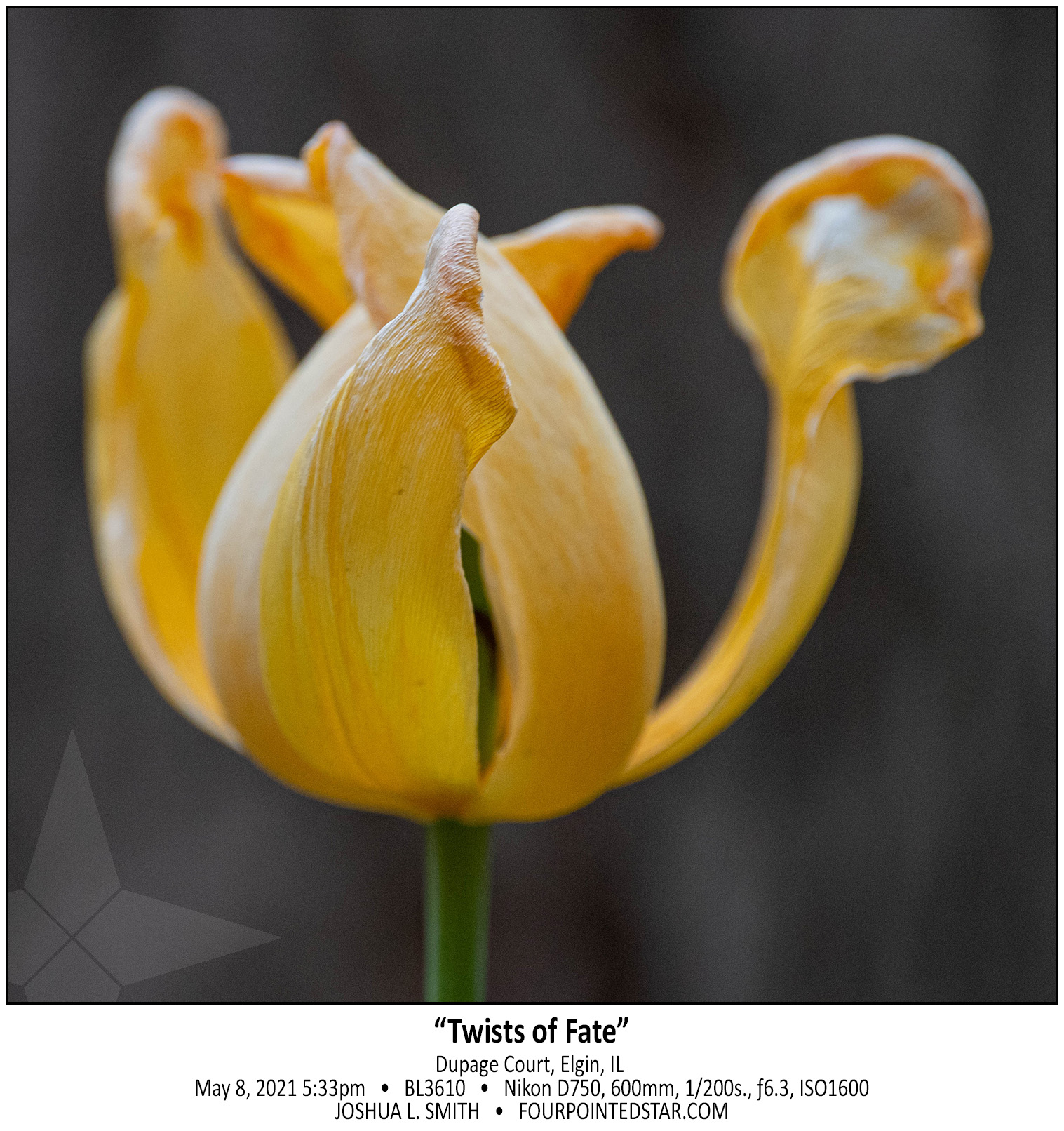 BL3610 210508 173328