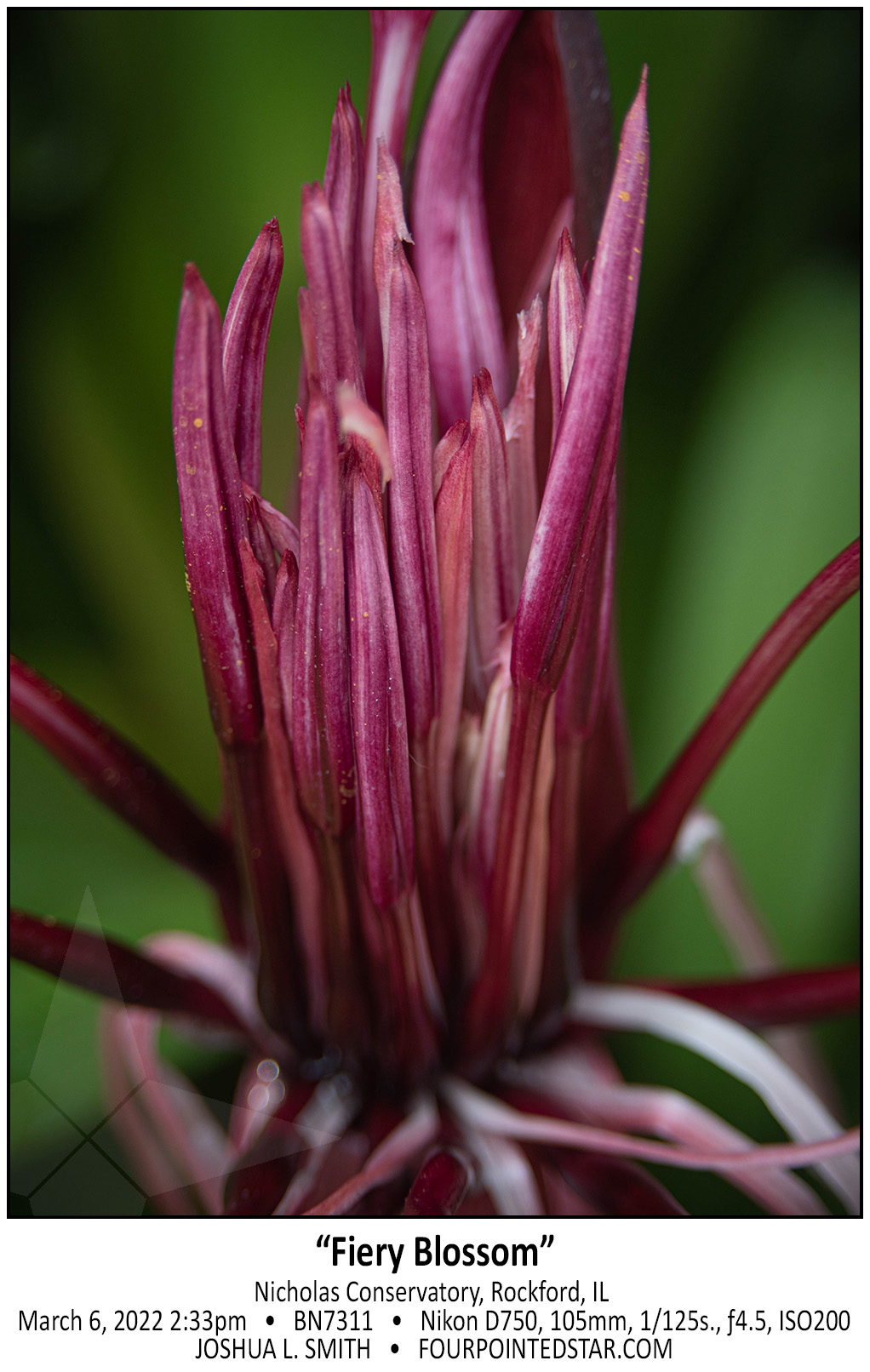 BN7342 220306 143348