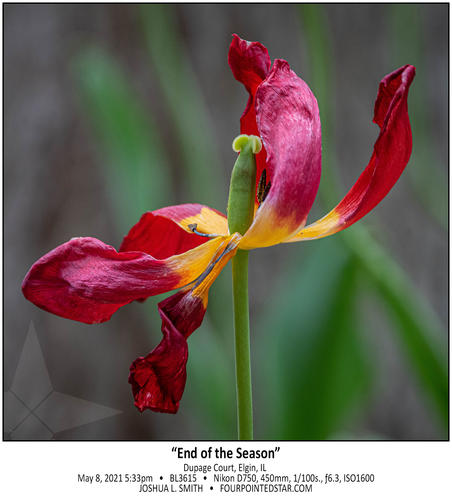 BL3615 210508 173343