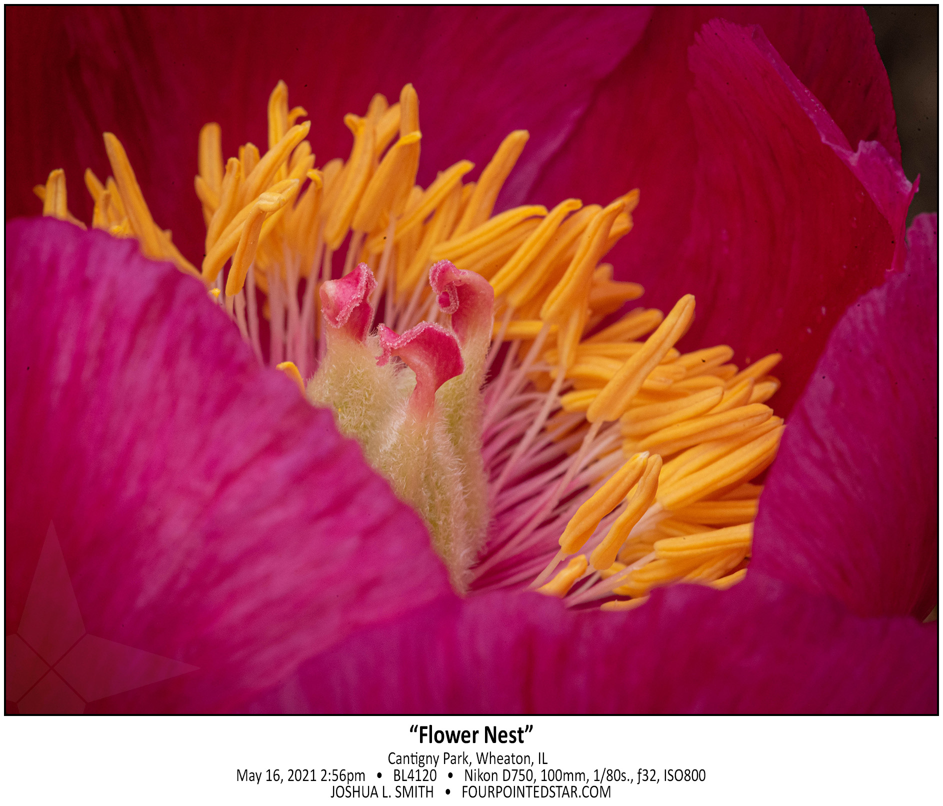 BL4120 210516 145612