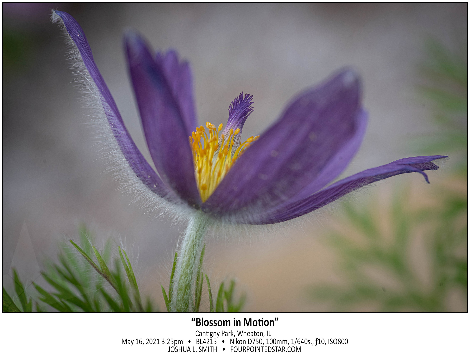 BL4215 210516 152509