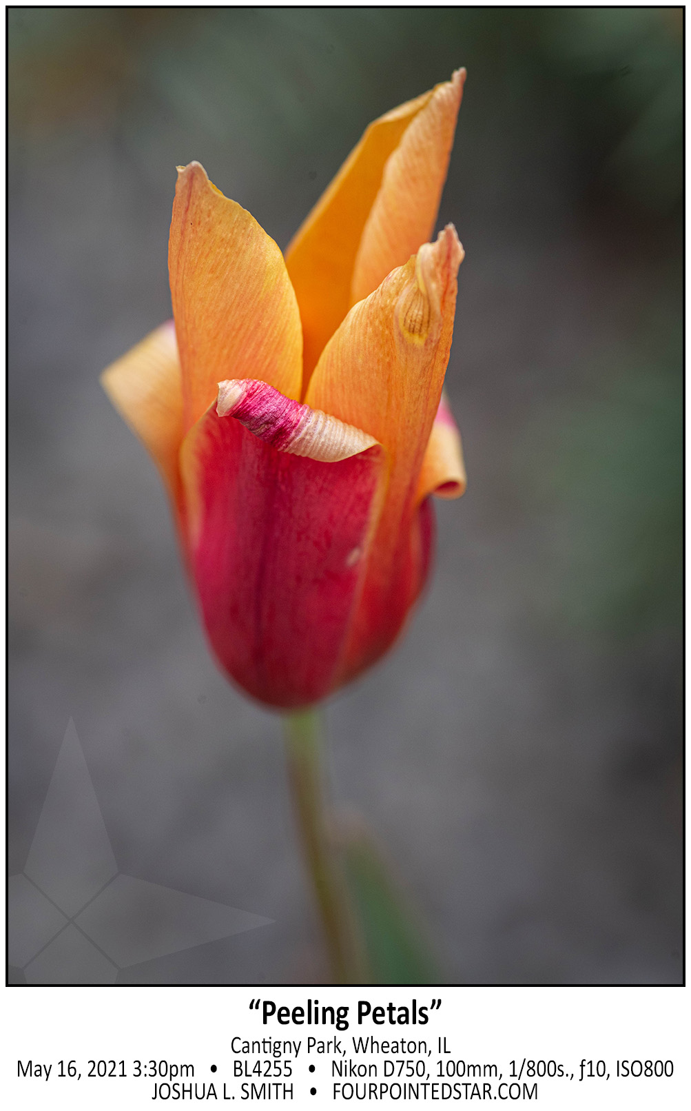 BL4255 210521 153004