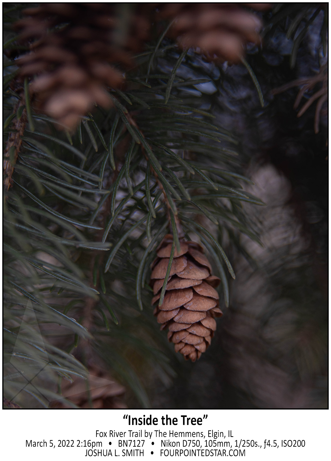 BN7127 220305 141626