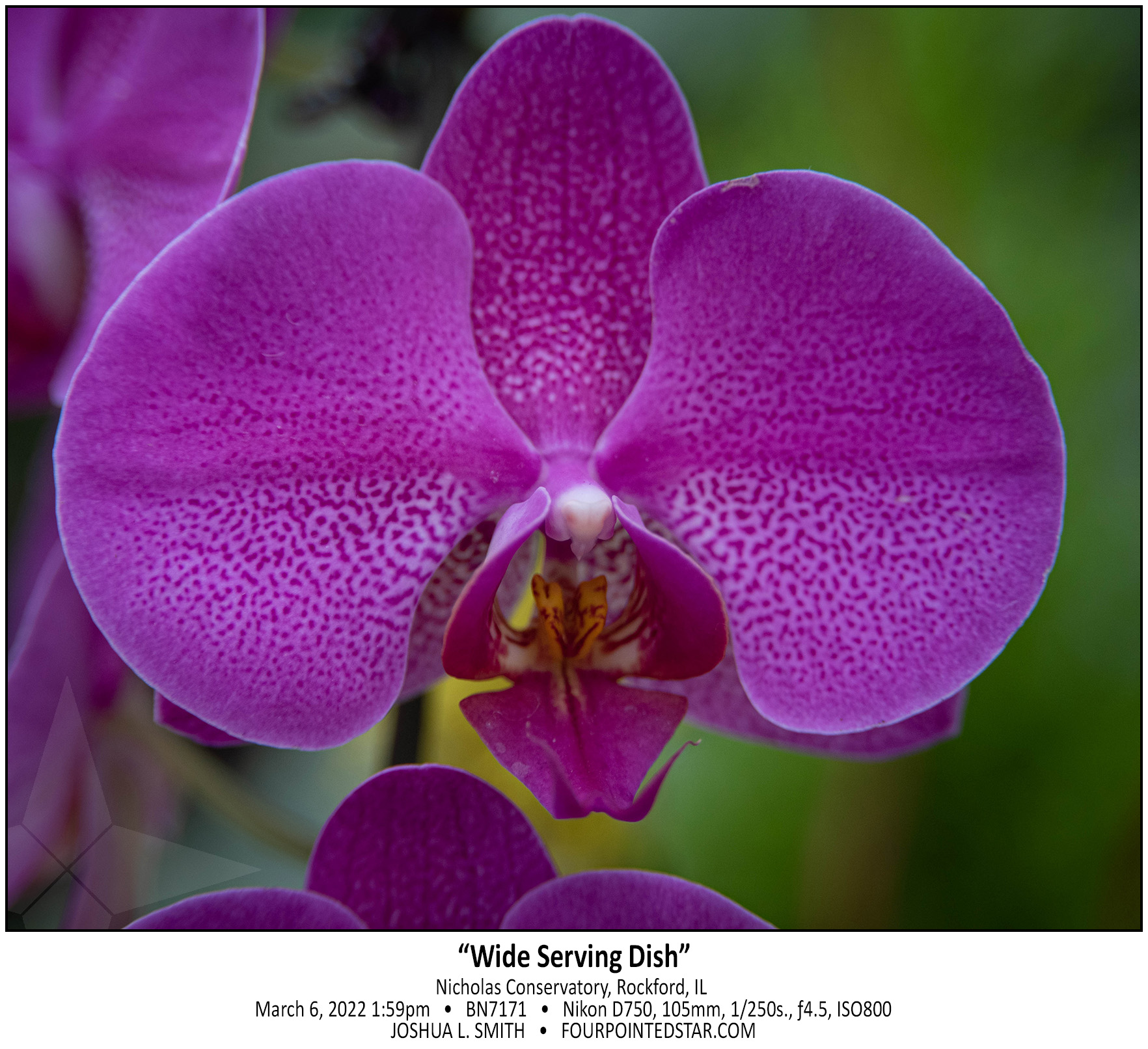 BN7171 220306 135900