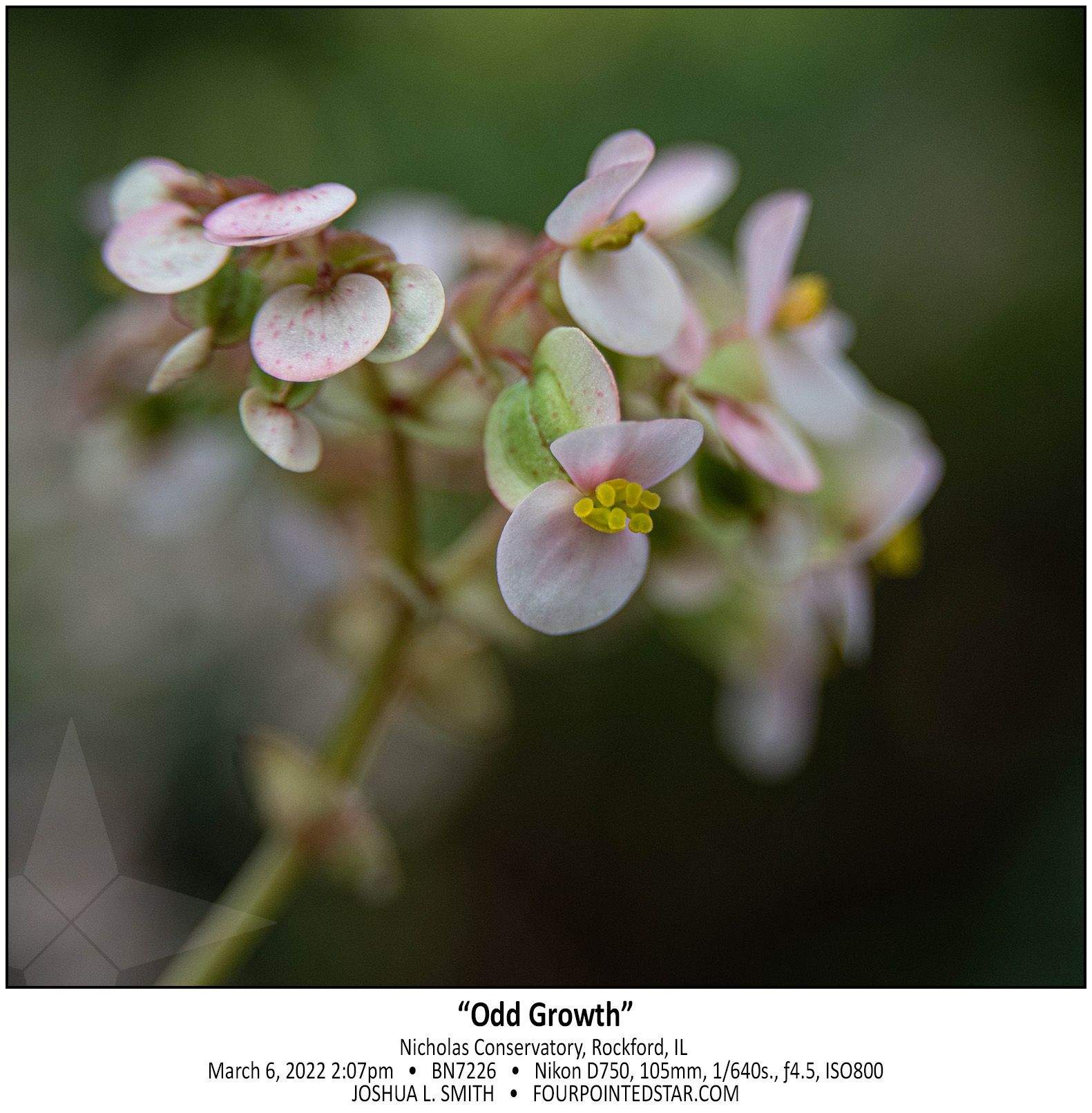 BN7226 220306 140729