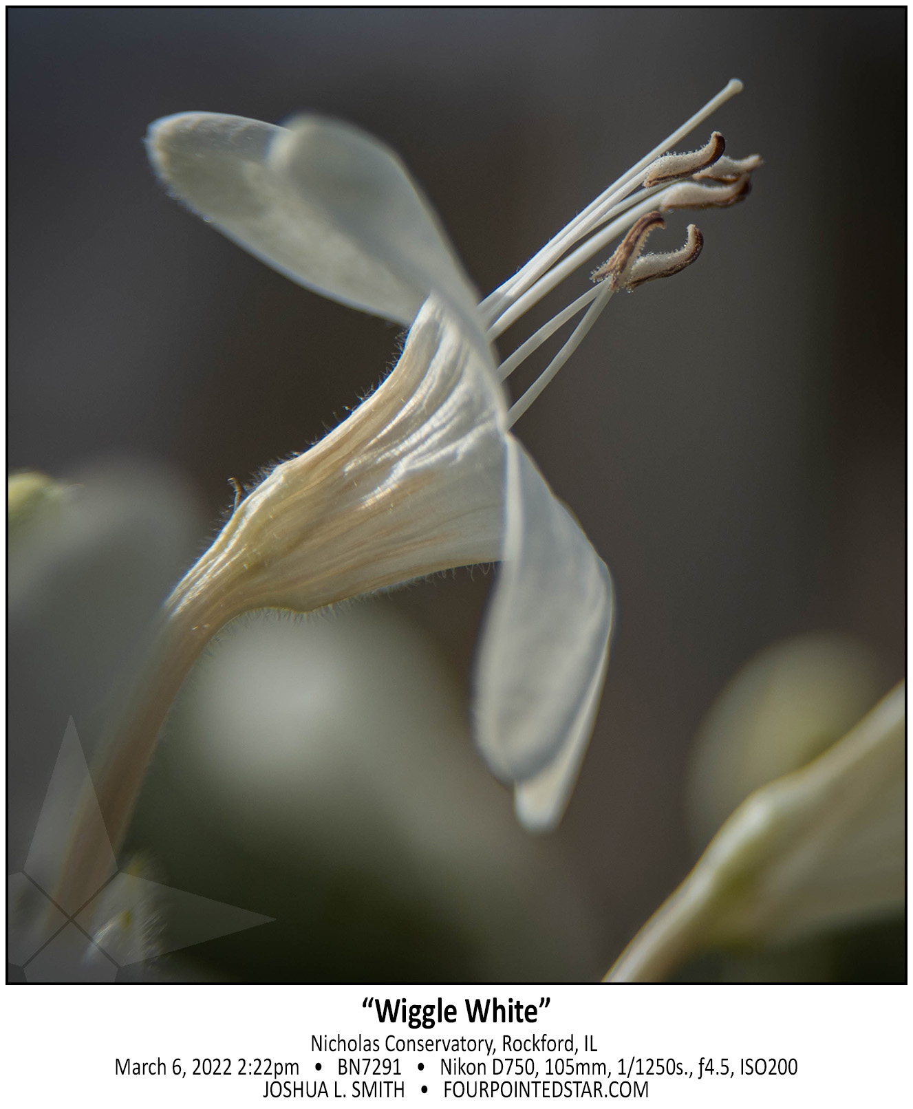 BN7291 220306 142249