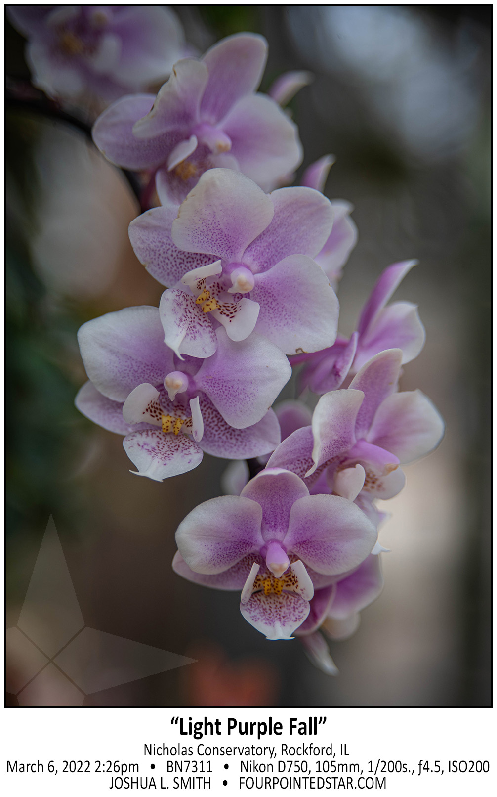 BN7311 220306 142615