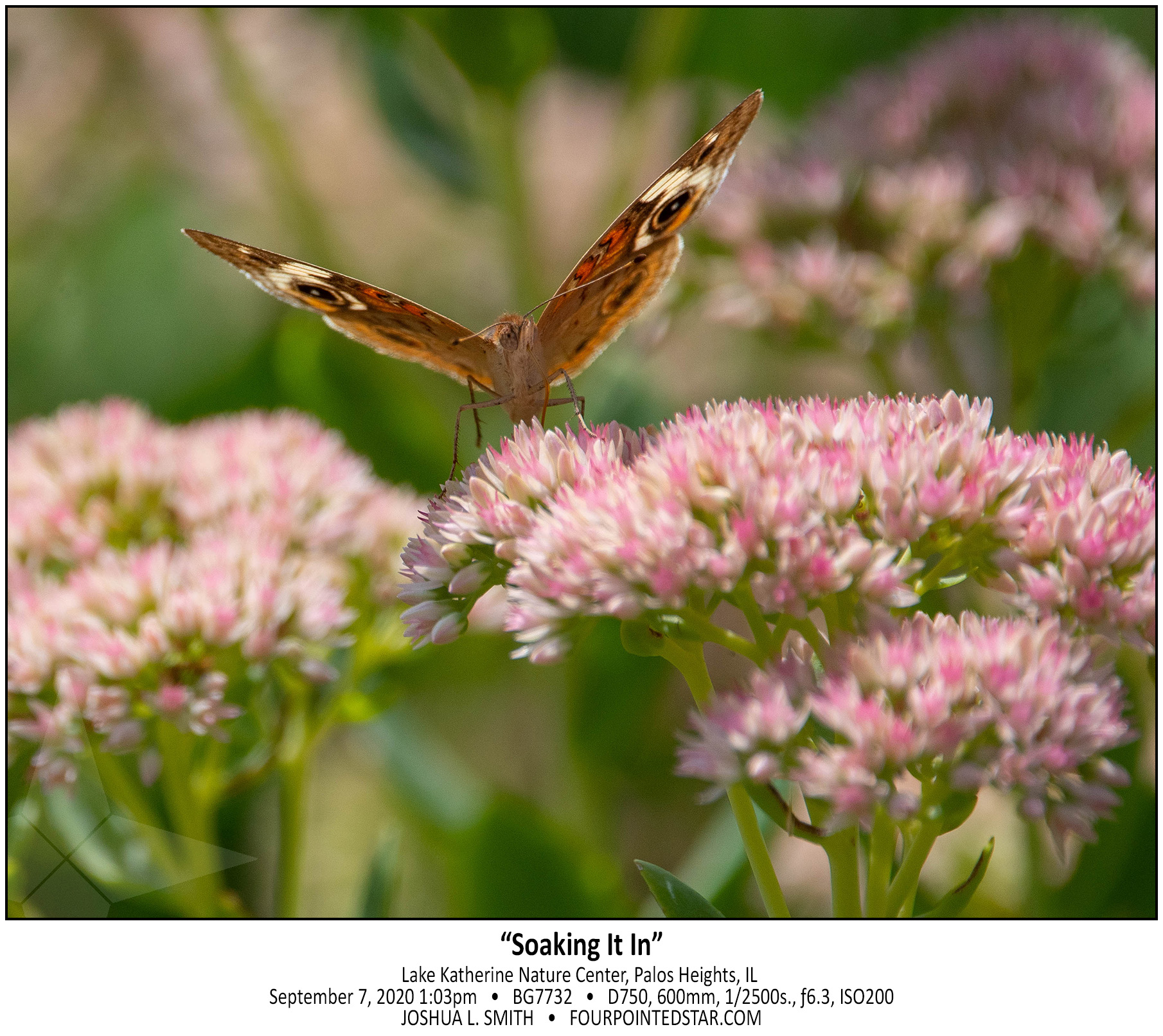 BG7732 200907 130327