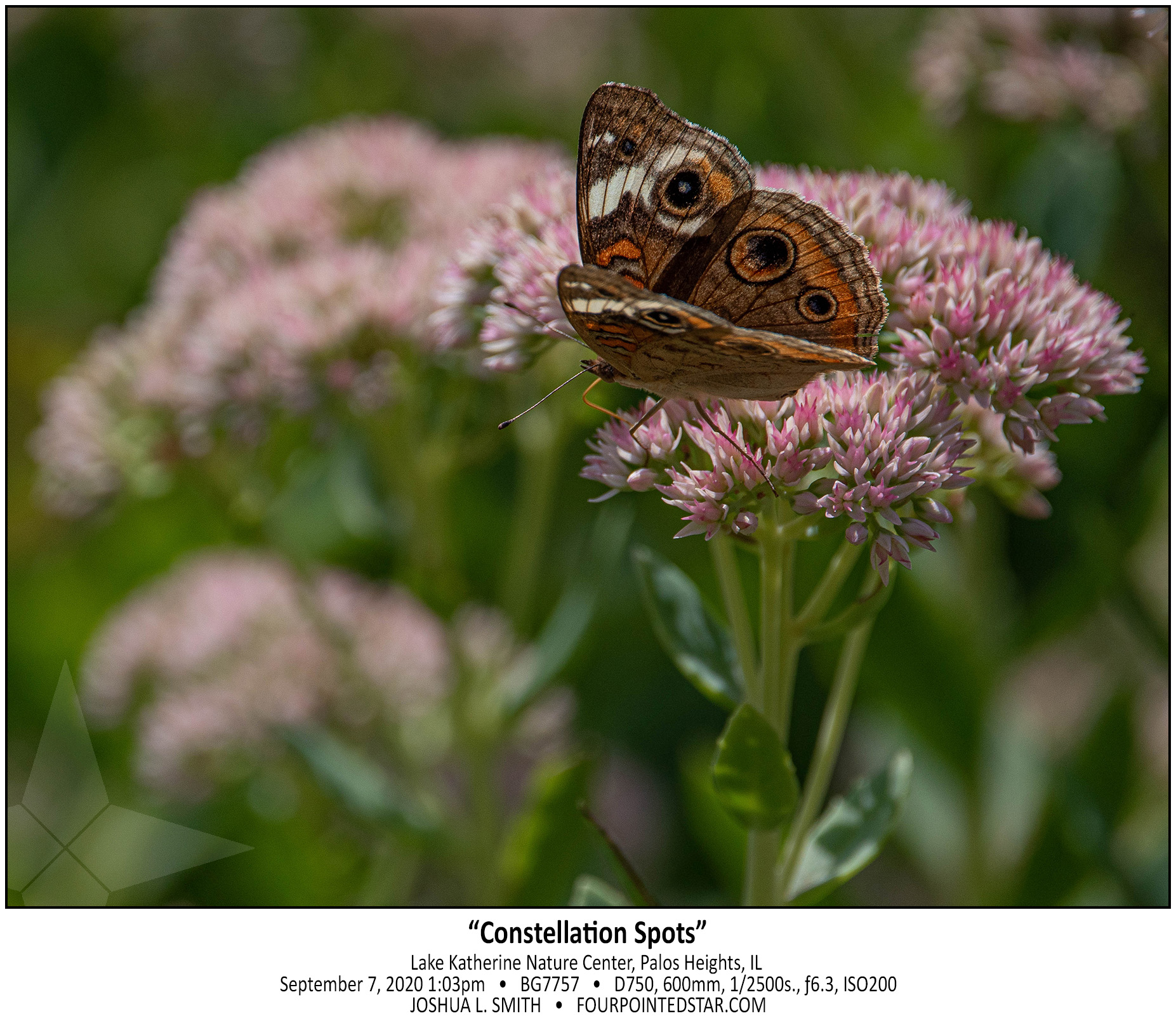 BG7757 200906 130356