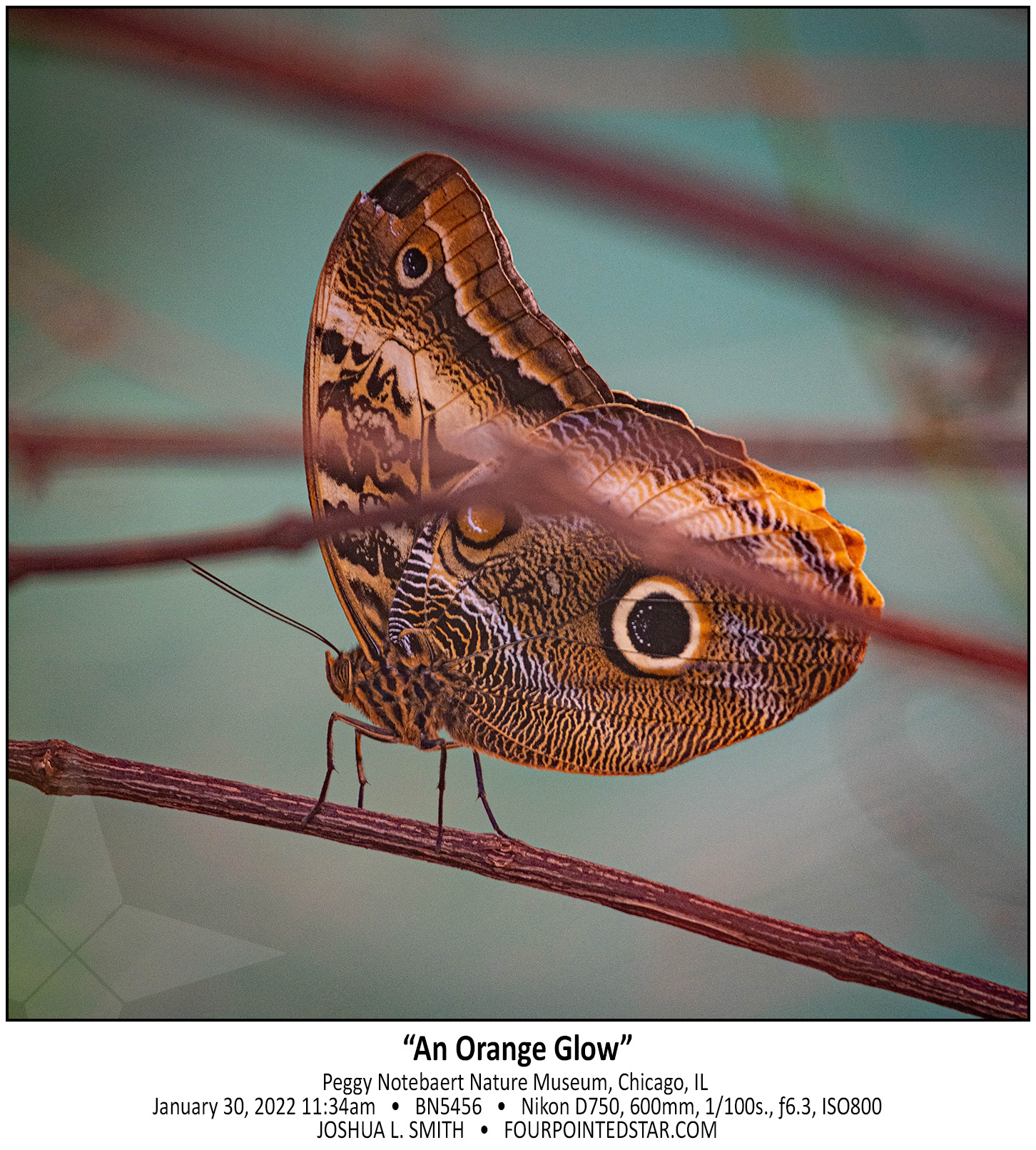 BN5456 220130 113410