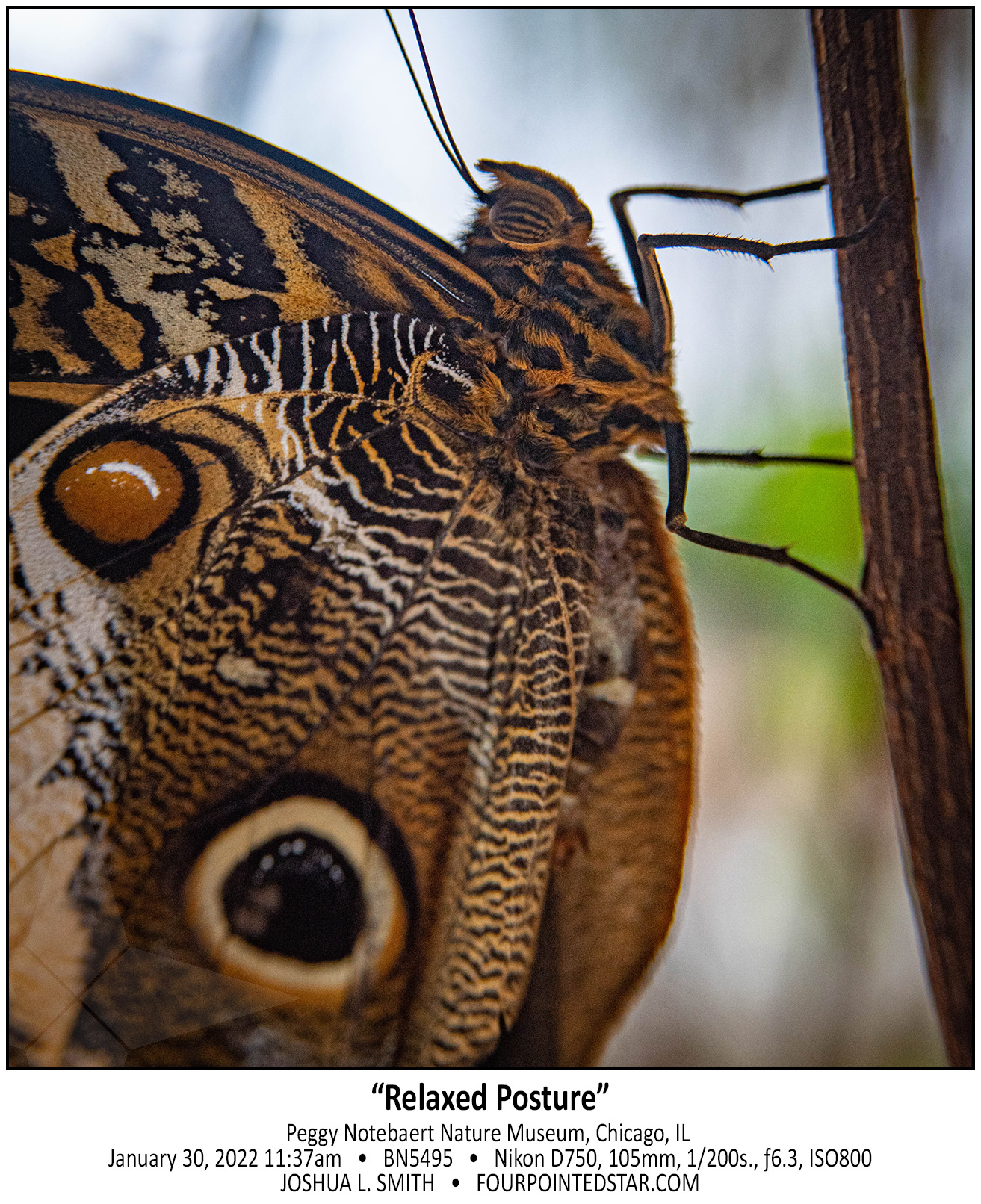 BN5495 220130 113756