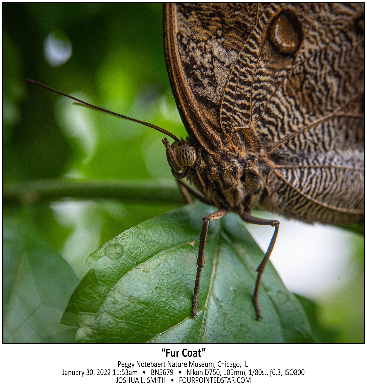 BN5679 220130 115307