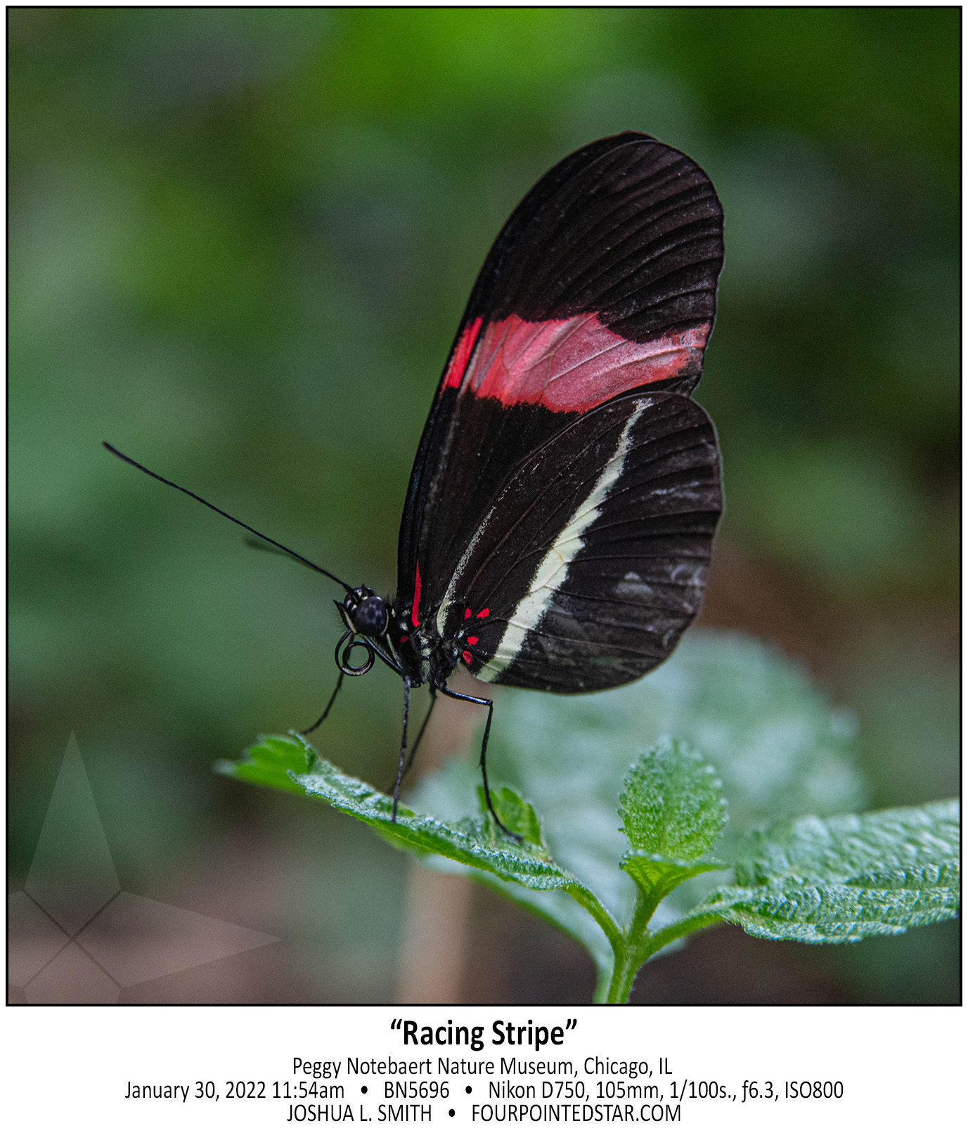 BN5696 220130 115403