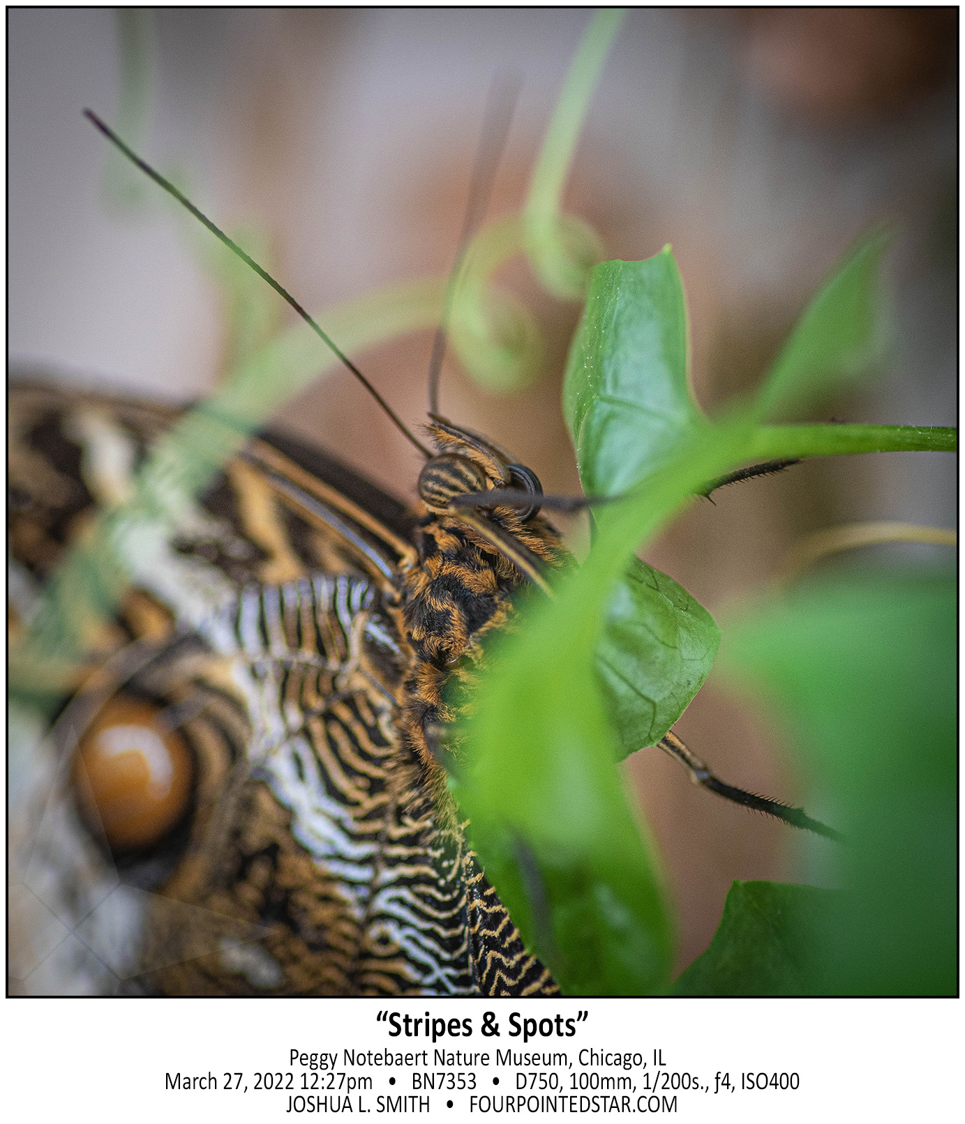 BN7353 220327 122736