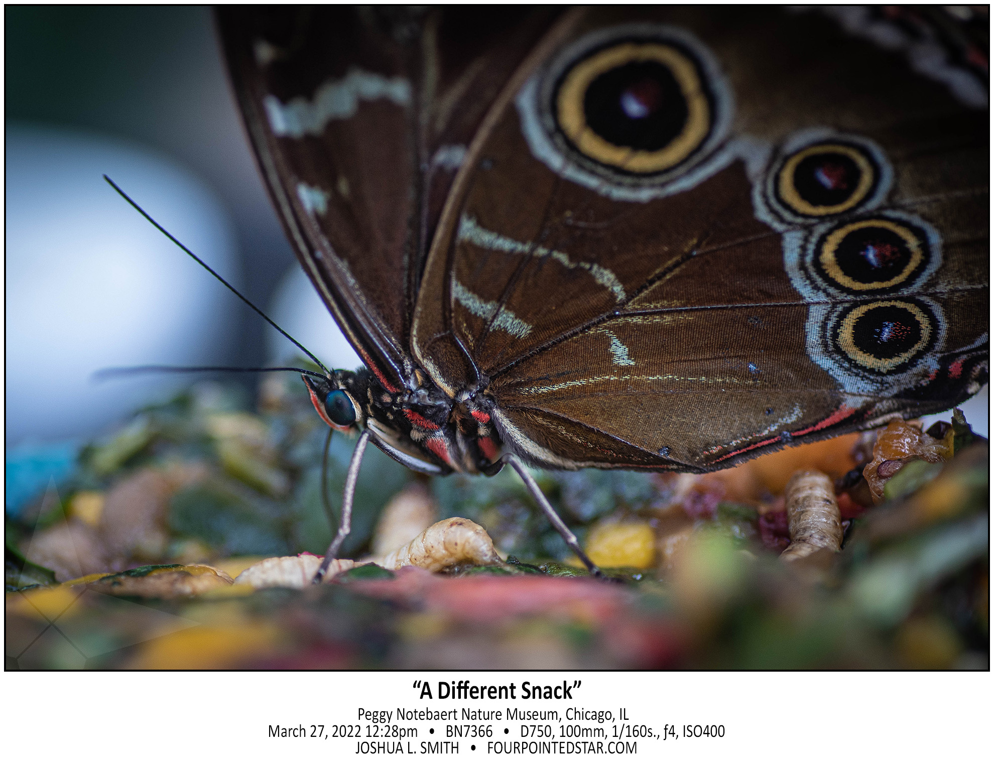 BN7366 220327 122812